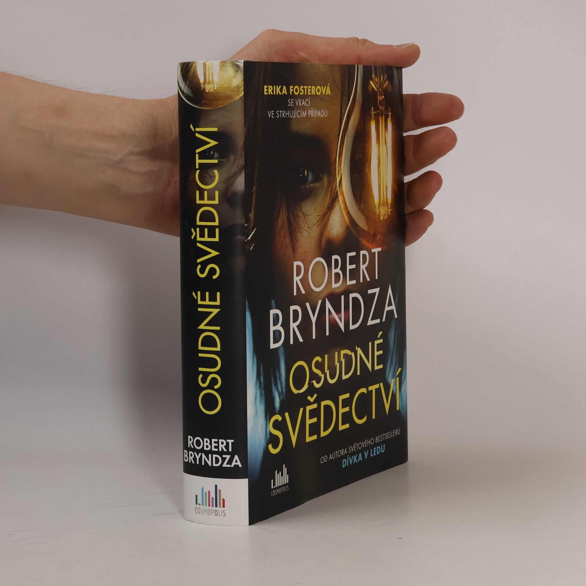 Robert Bryndza Osudné svědectví