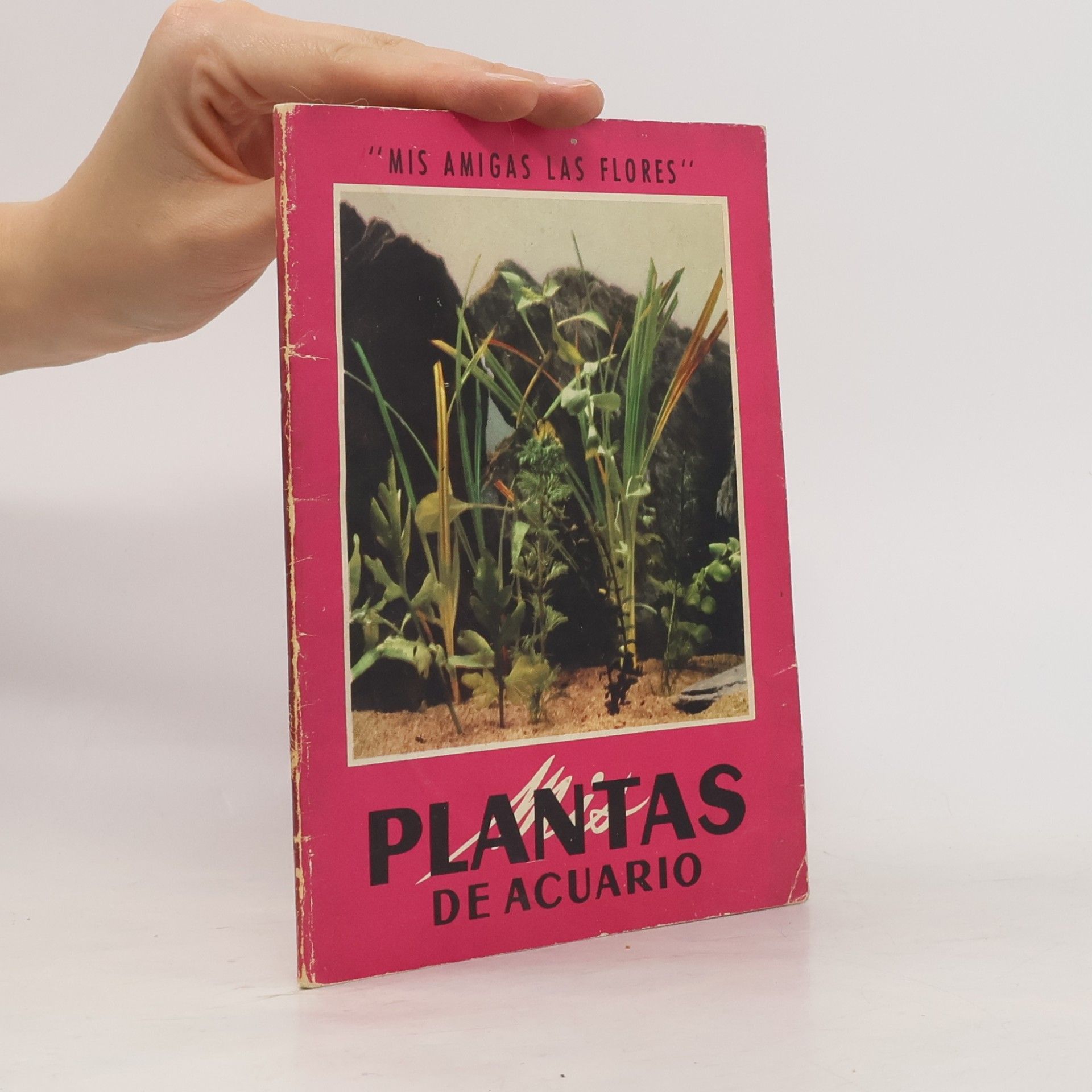 Autorenkollektiv Plantas de acuario