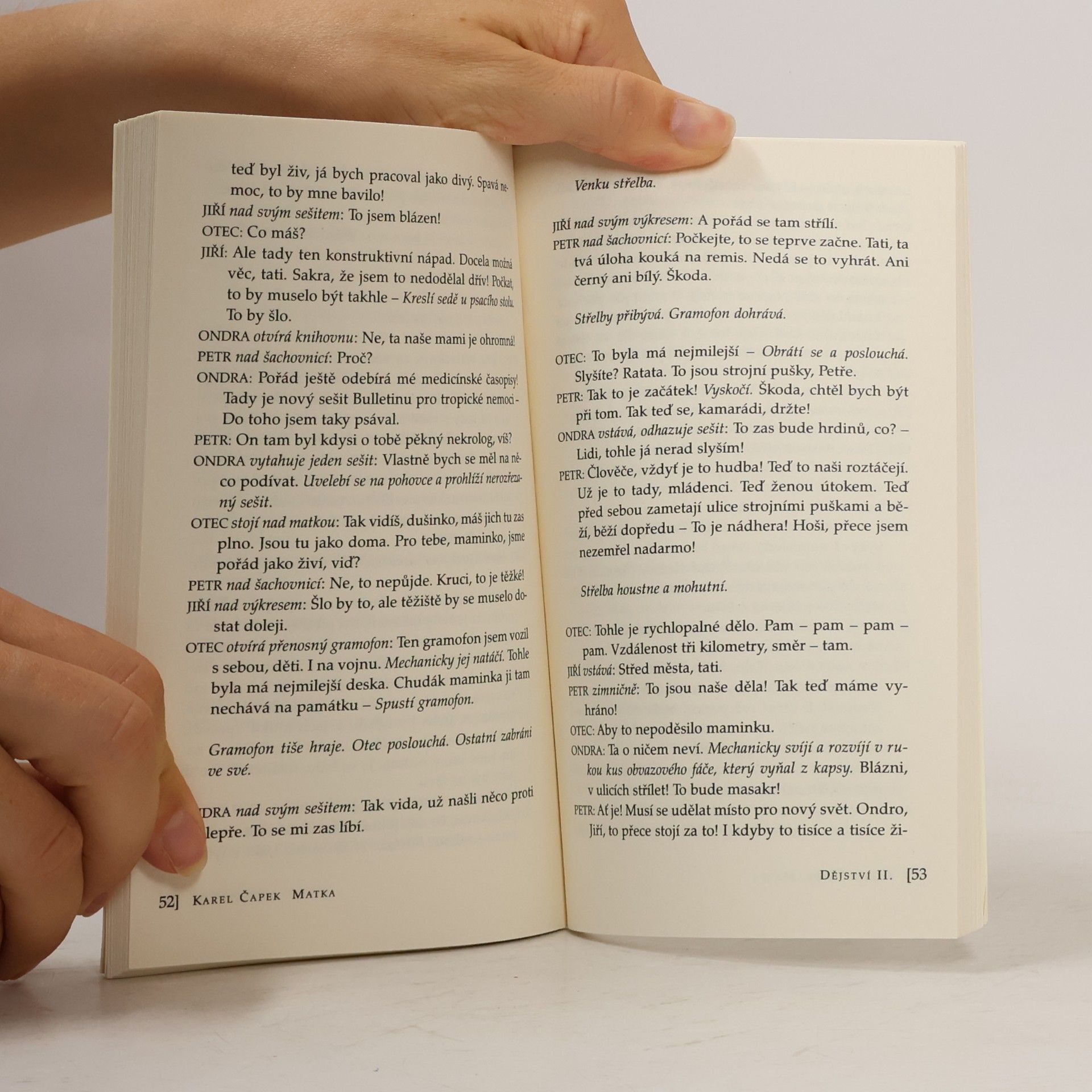 Karel Čapek Matka