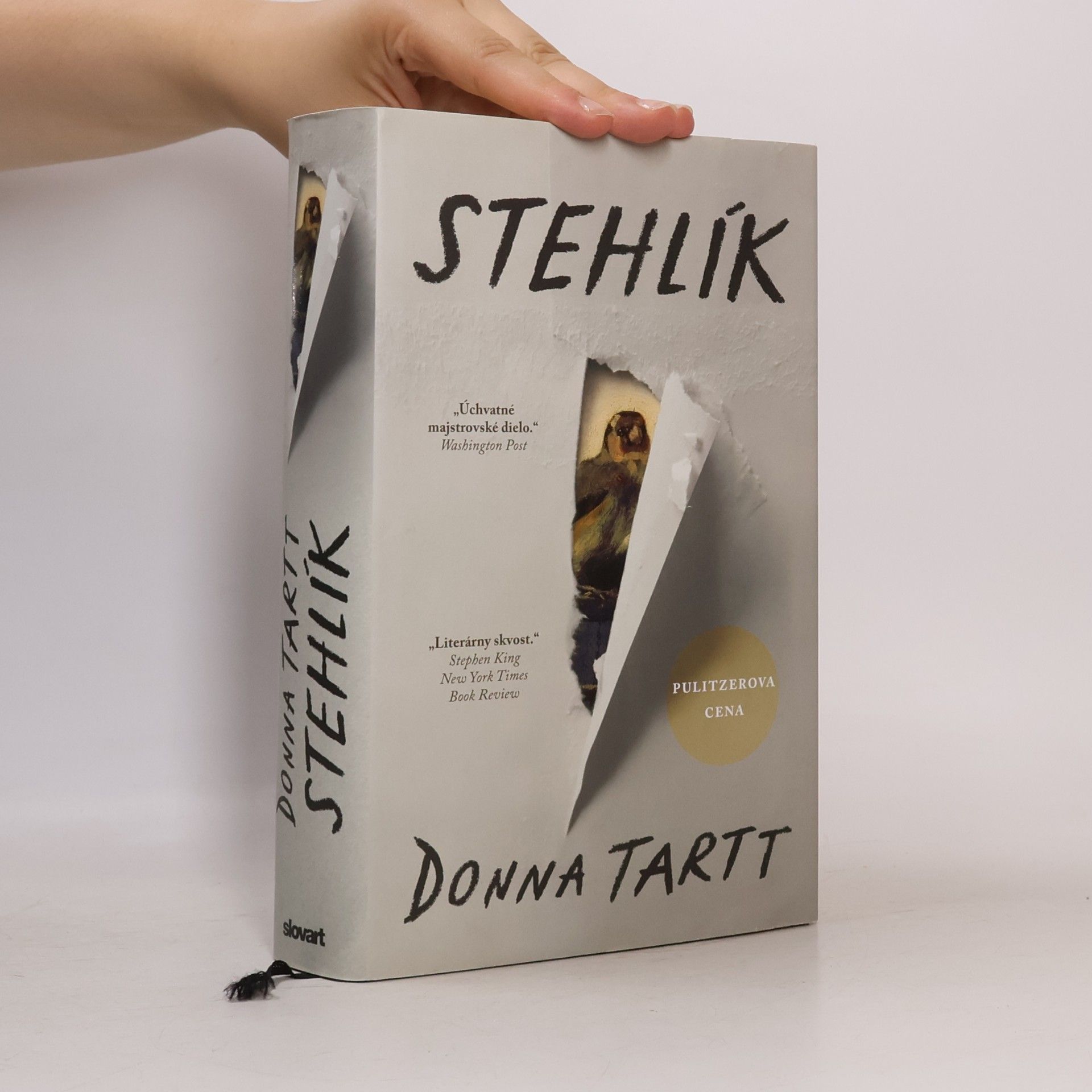 Donna Tartt Stehlík
