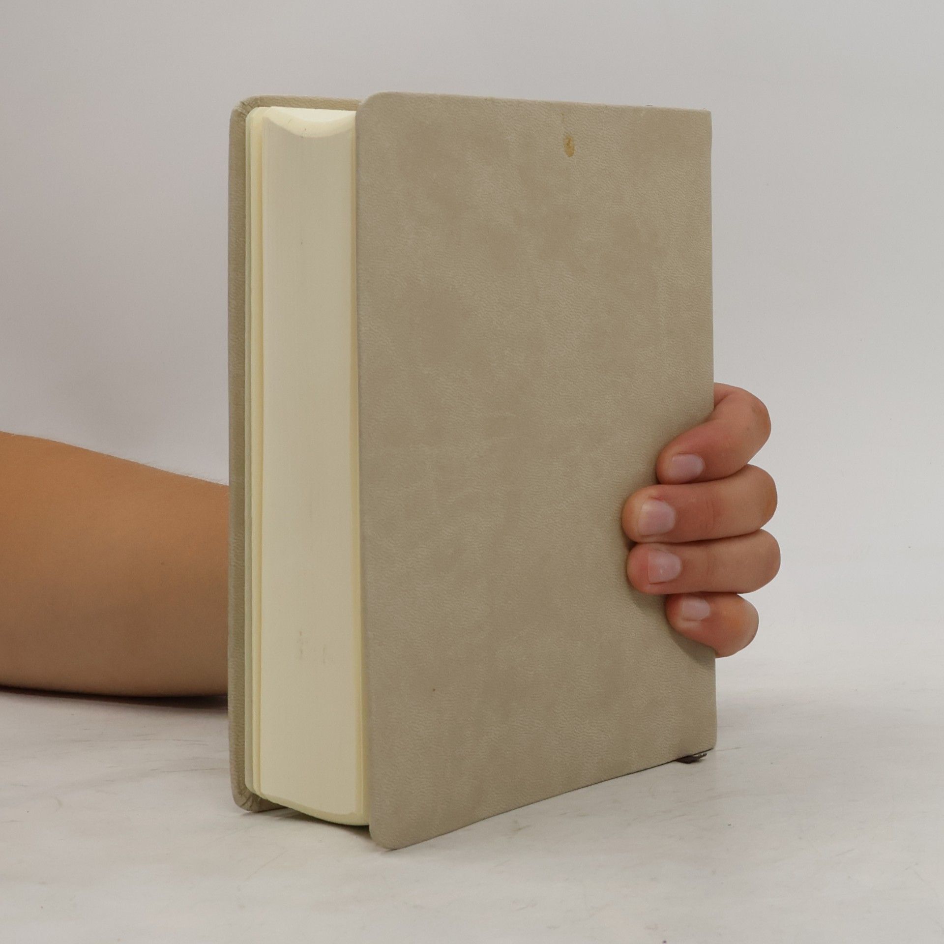 Various authors Bible