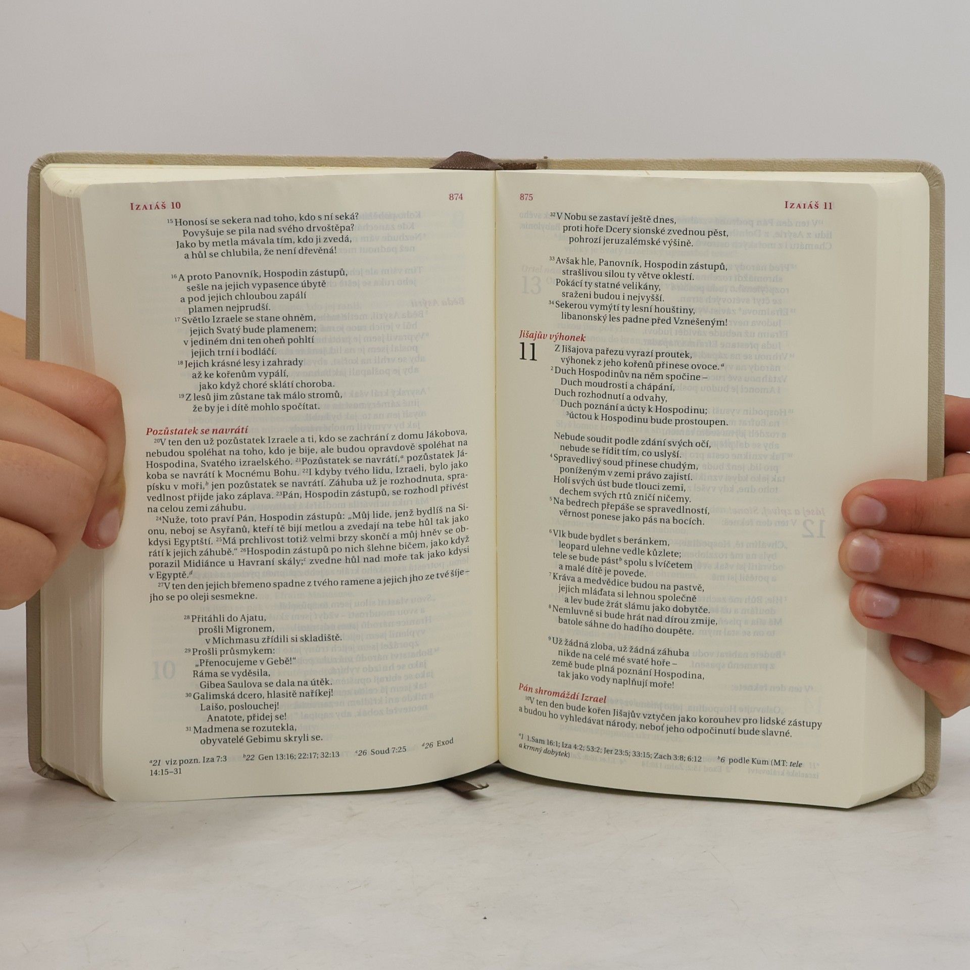 Various authors Bible