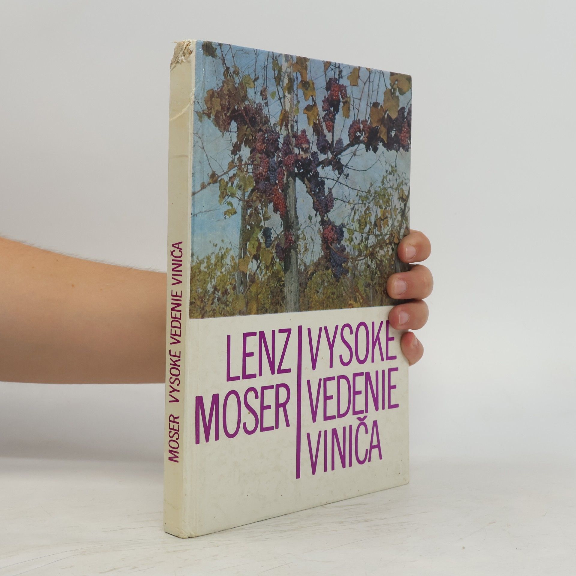 Lens Moser Vysoké vedenie viniča
