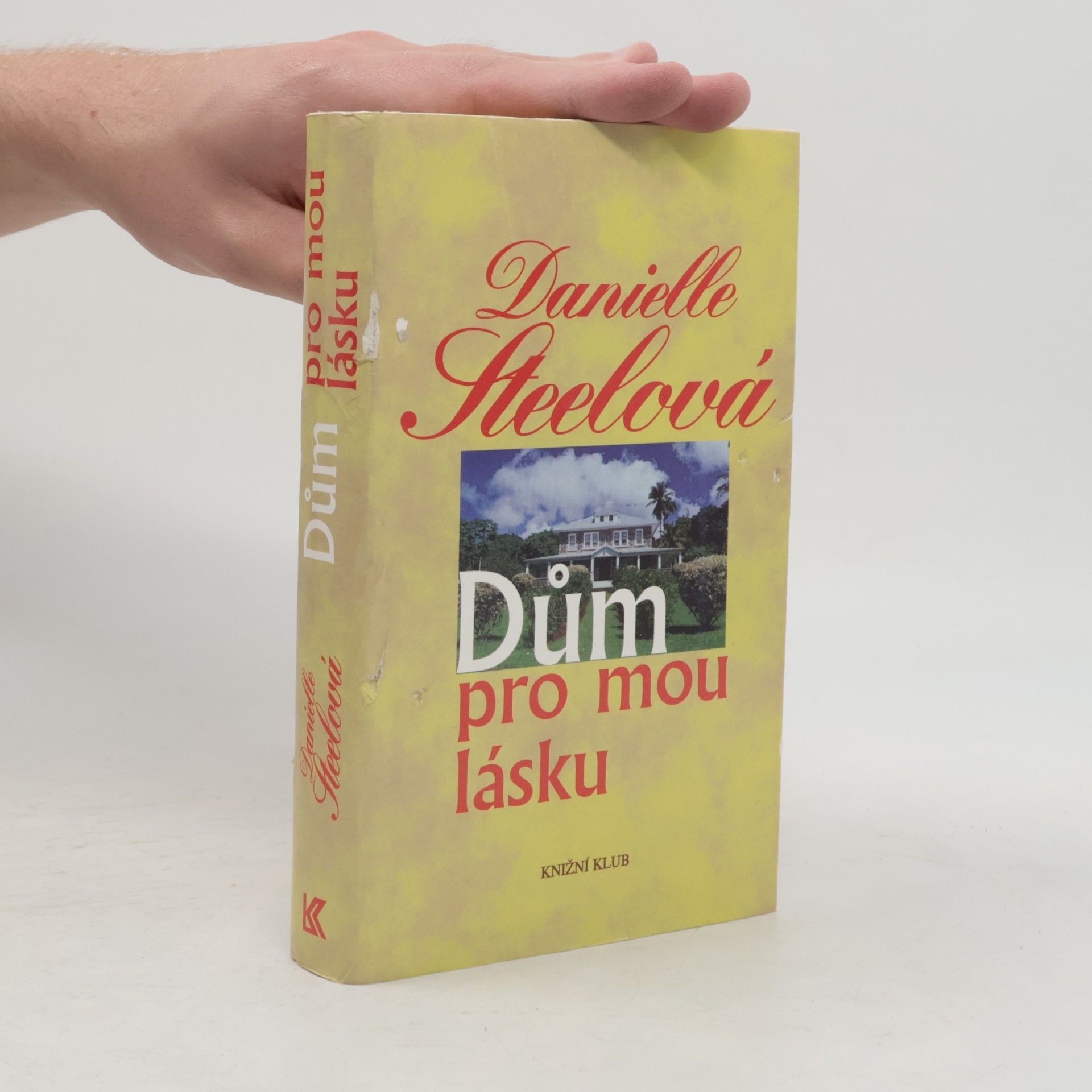 Danielle Steelová Dům pro mou lásku