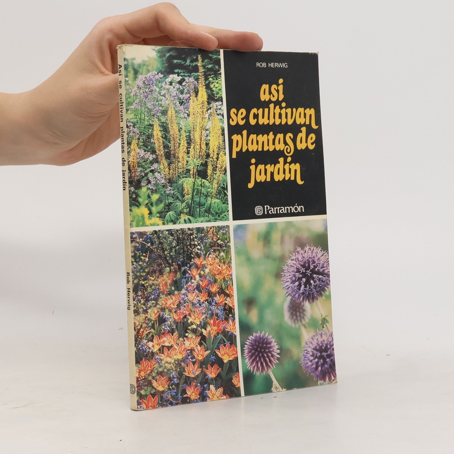 Así se cultivan plantas de jardín