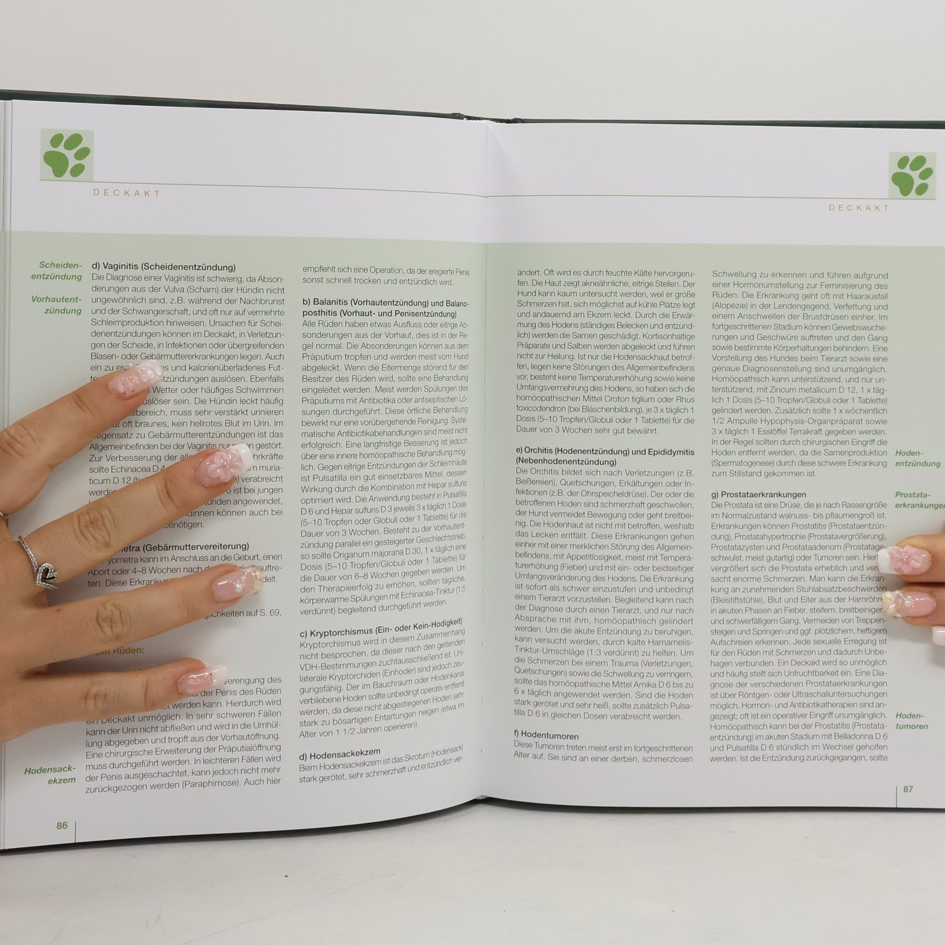 Inge Hansen Handbuch der Hundezucht