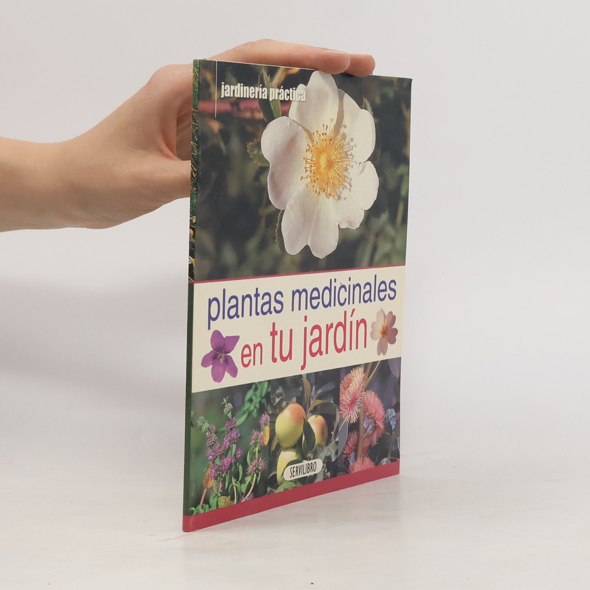 Autorenkollektiv Plantas medicinales en tu jardín