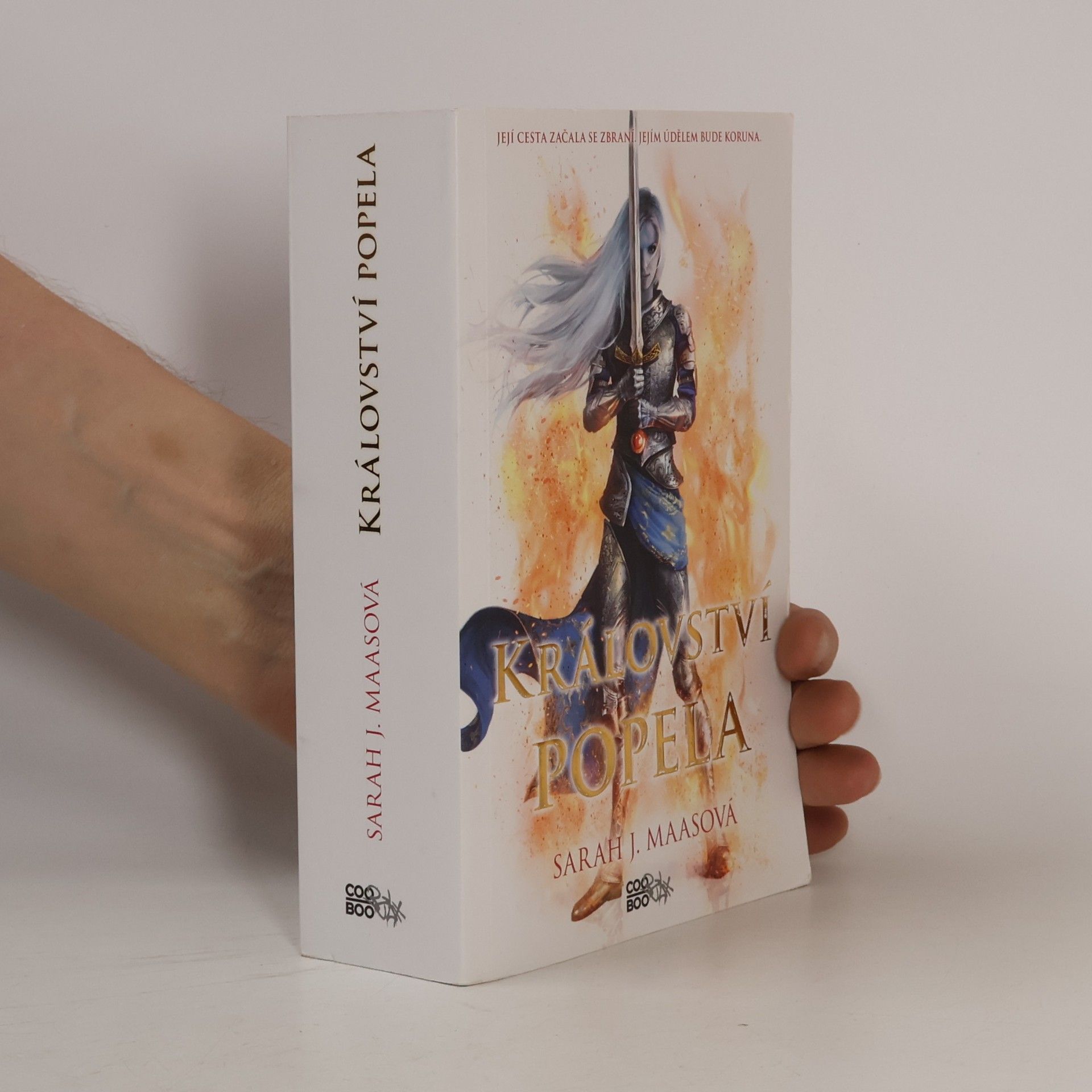 Sarah J. Maas Království popela