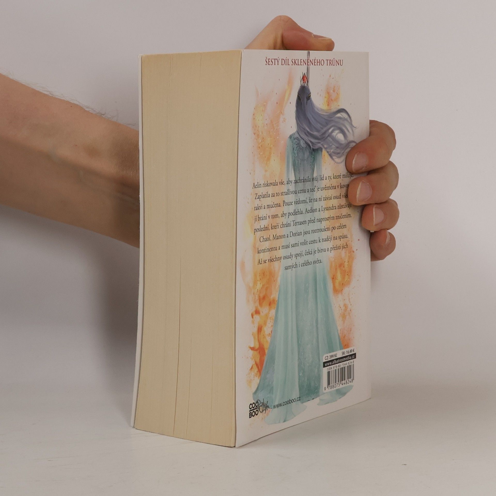 Sarah J. Maas Království popela