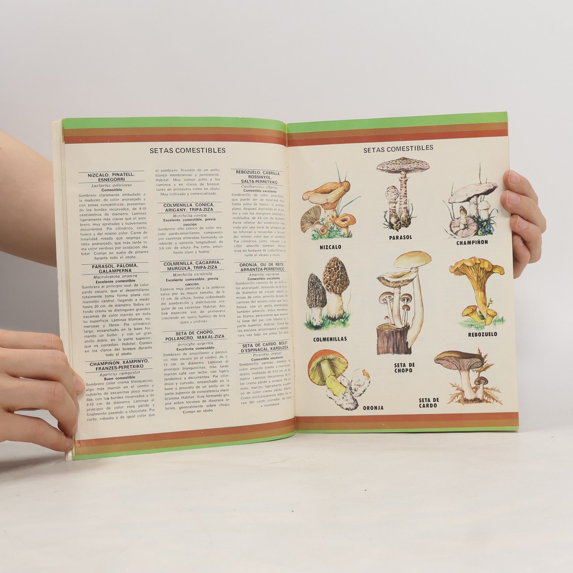 Autorenkollektiv Protección de la naturaleza