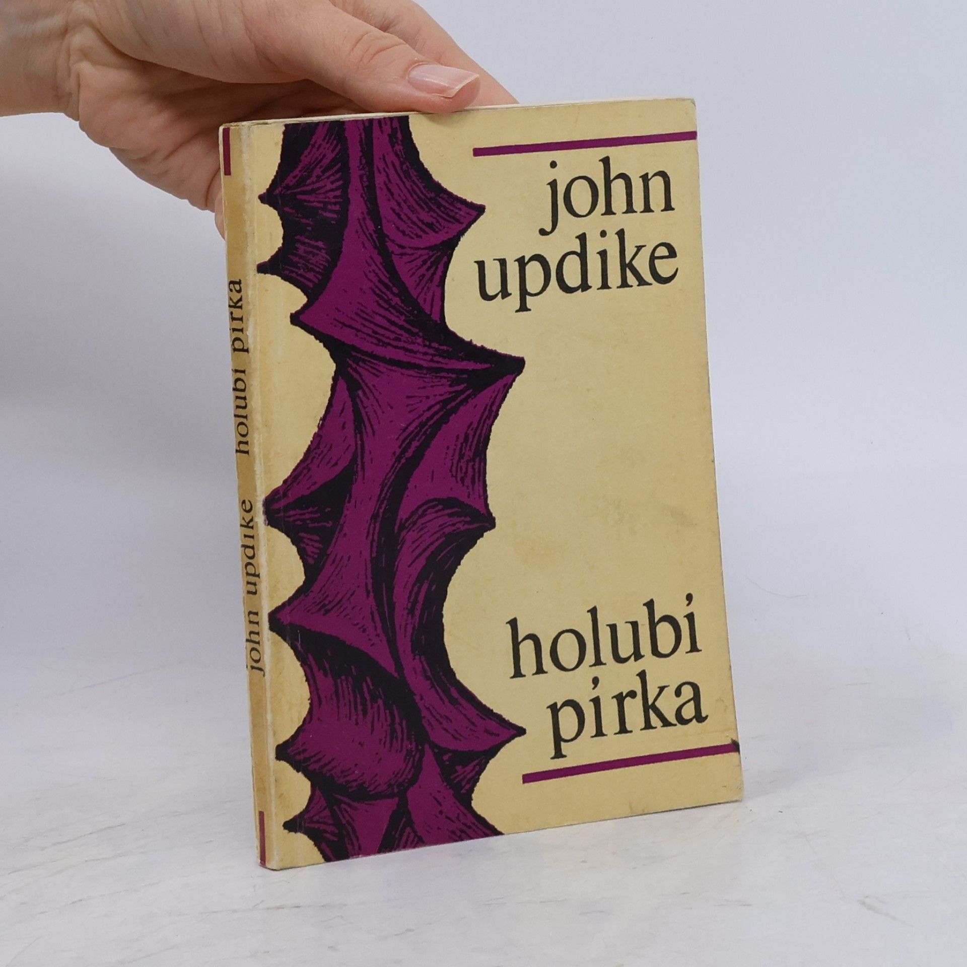John Updike Holubí pírka