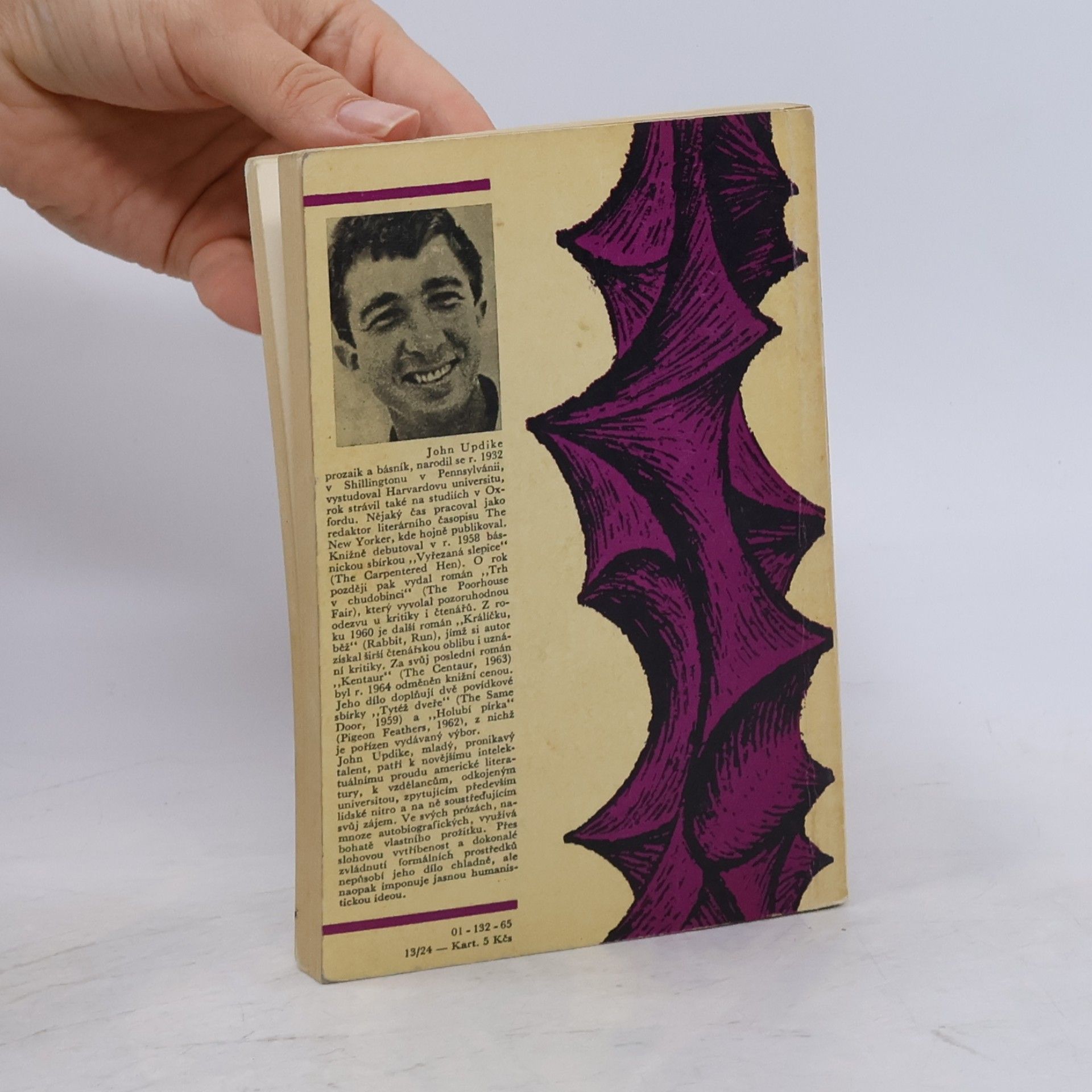 John Updike Holubí pírka