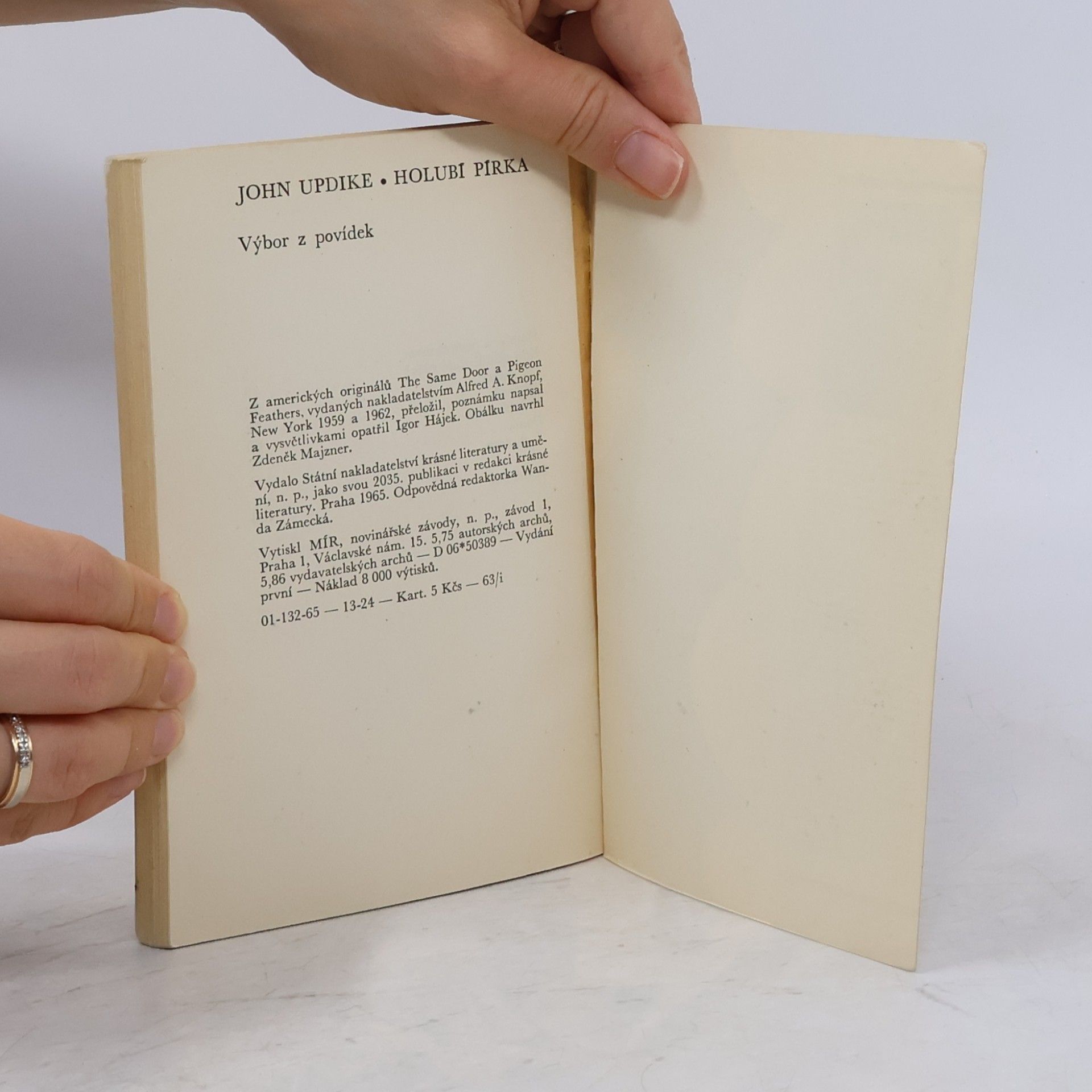 John Updike Holubí pírka