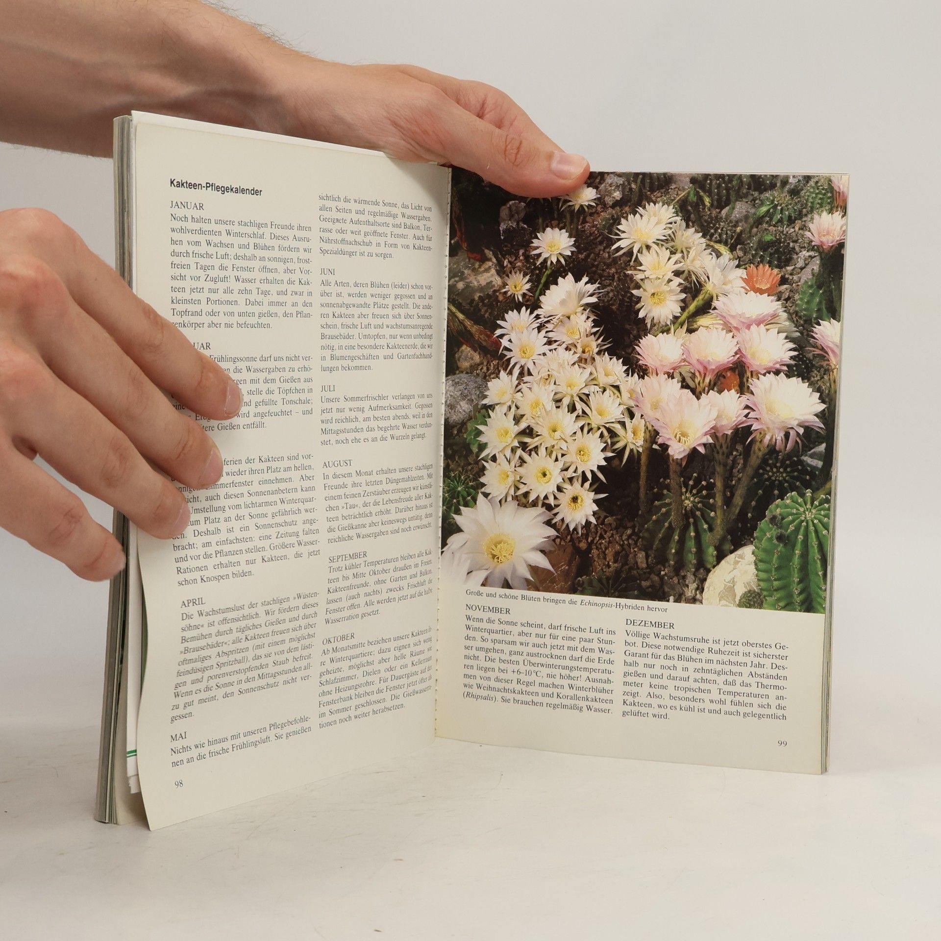Karlheinz Jacobi Das farbige Hausbuch der Zimmerpflanzen