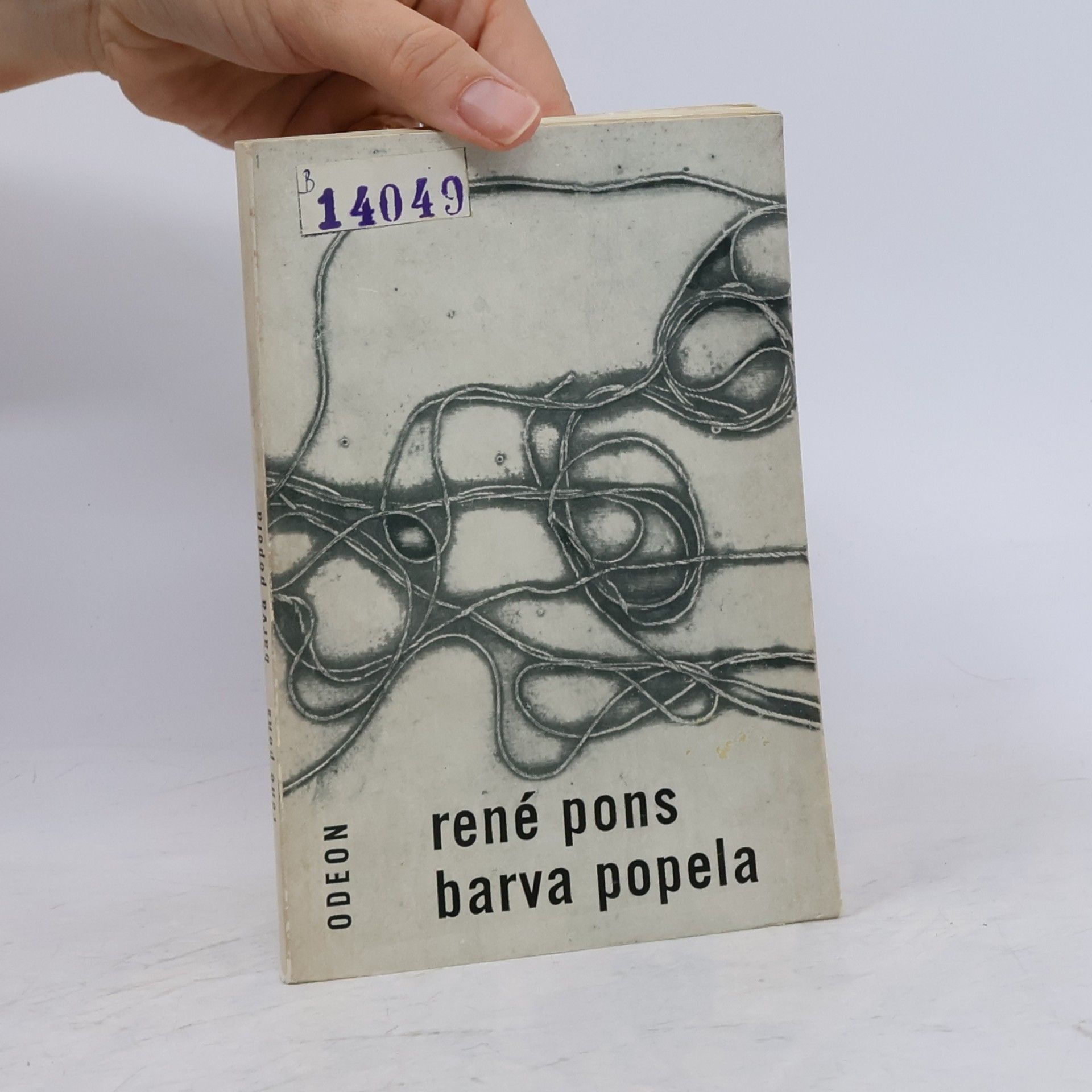 Barva popela