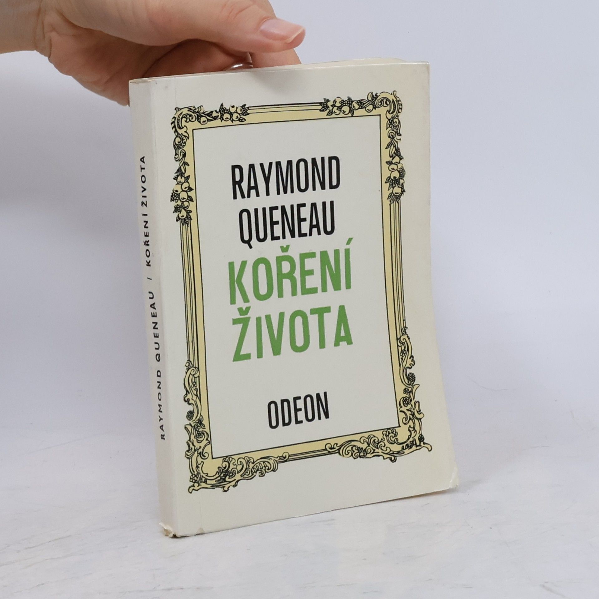 Raymond Queneau Koření života