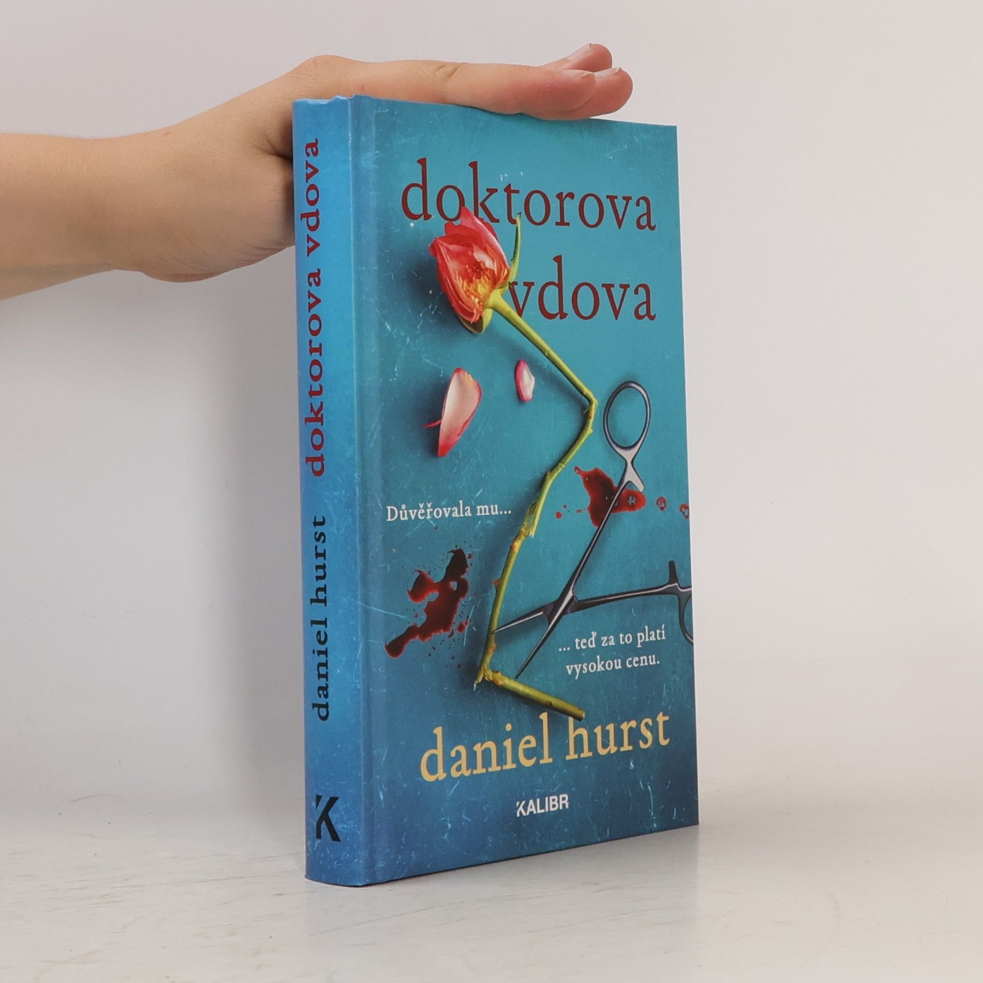 Daniel Hürst Doktorova vdova