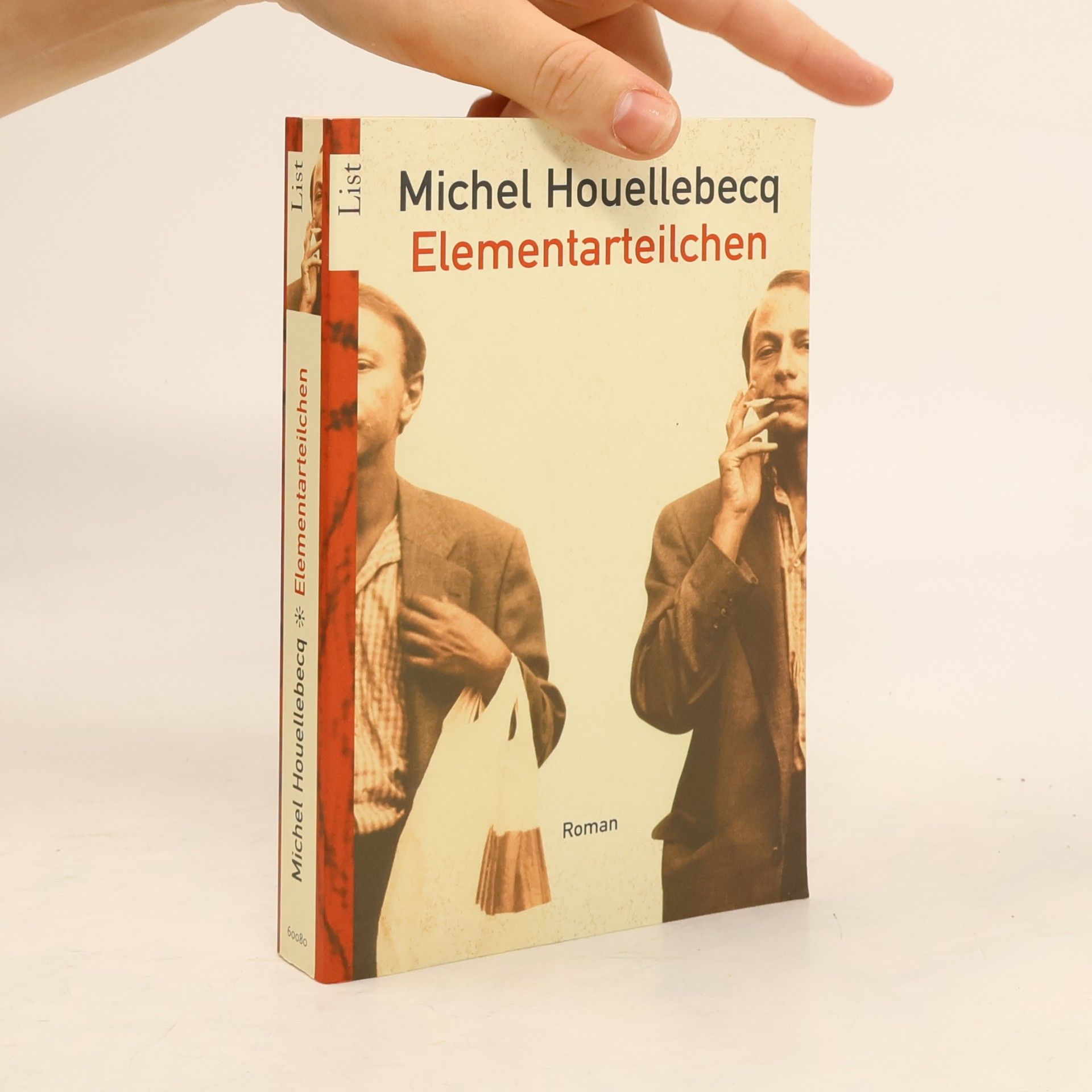 Michel Houellebecq Elementarteilchen