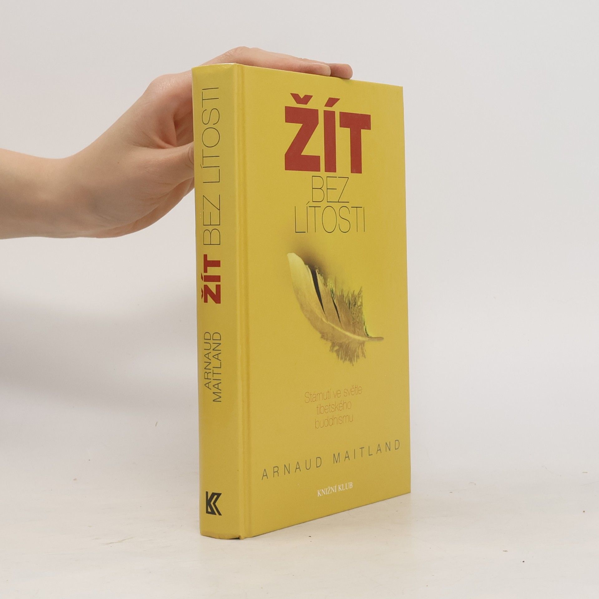 Arnaud Maitland Žít bez lítosti. Stárnutí ve světle tibetského buddhismu