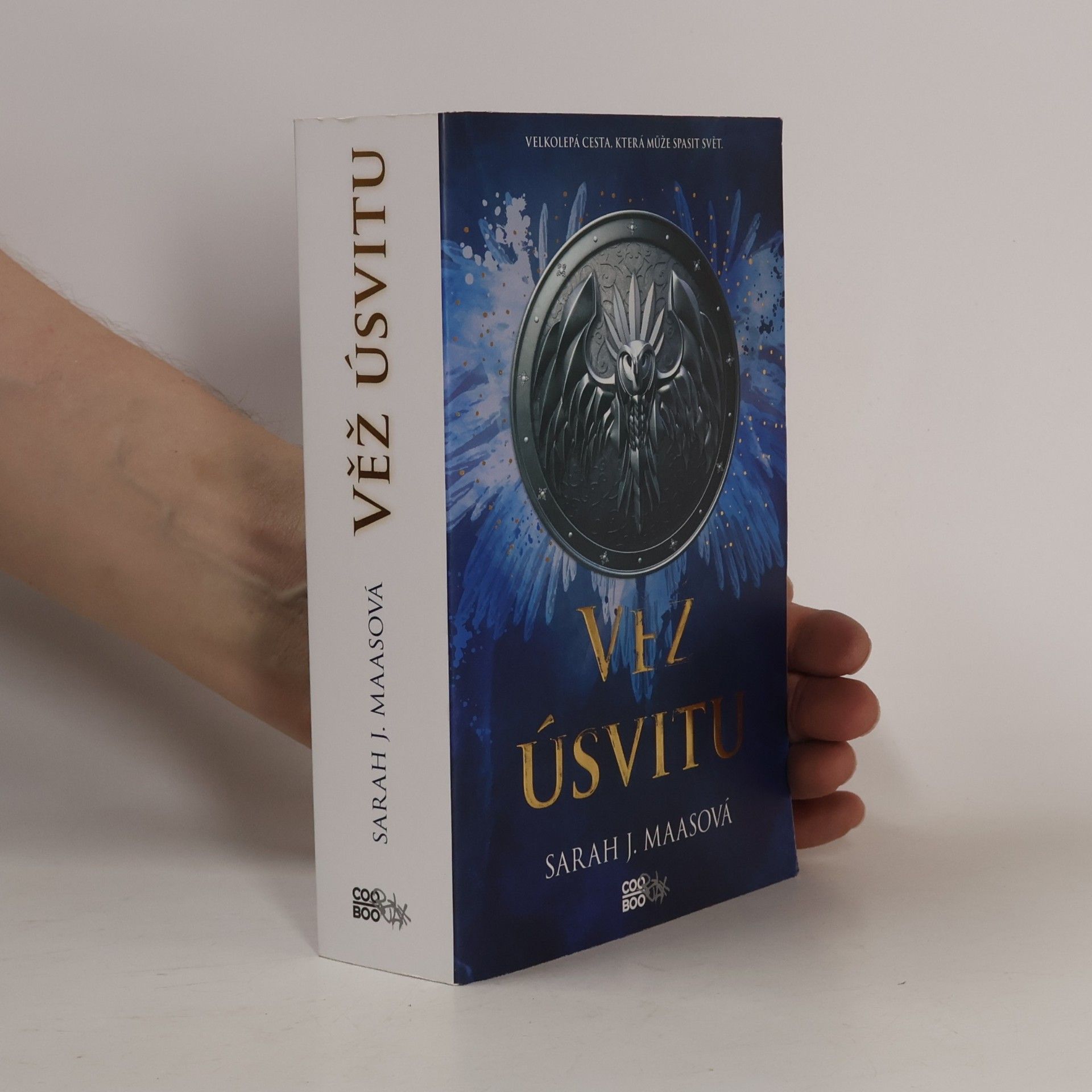 Sarah J. Maas Věž úsvitu