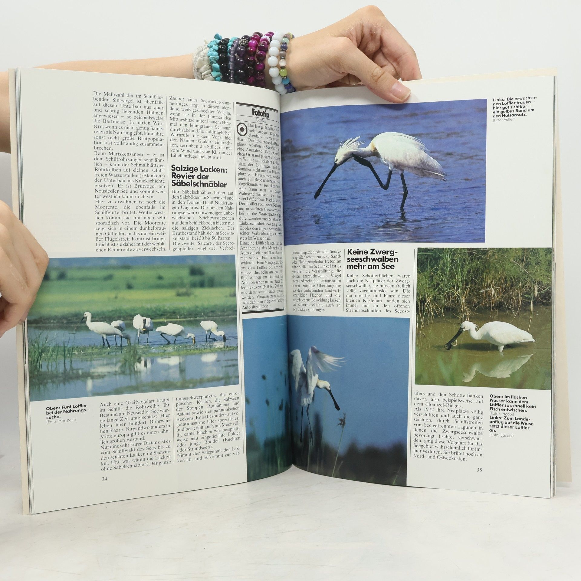 Kolektiv autorů Draußen 21. Das große Naturmagazin