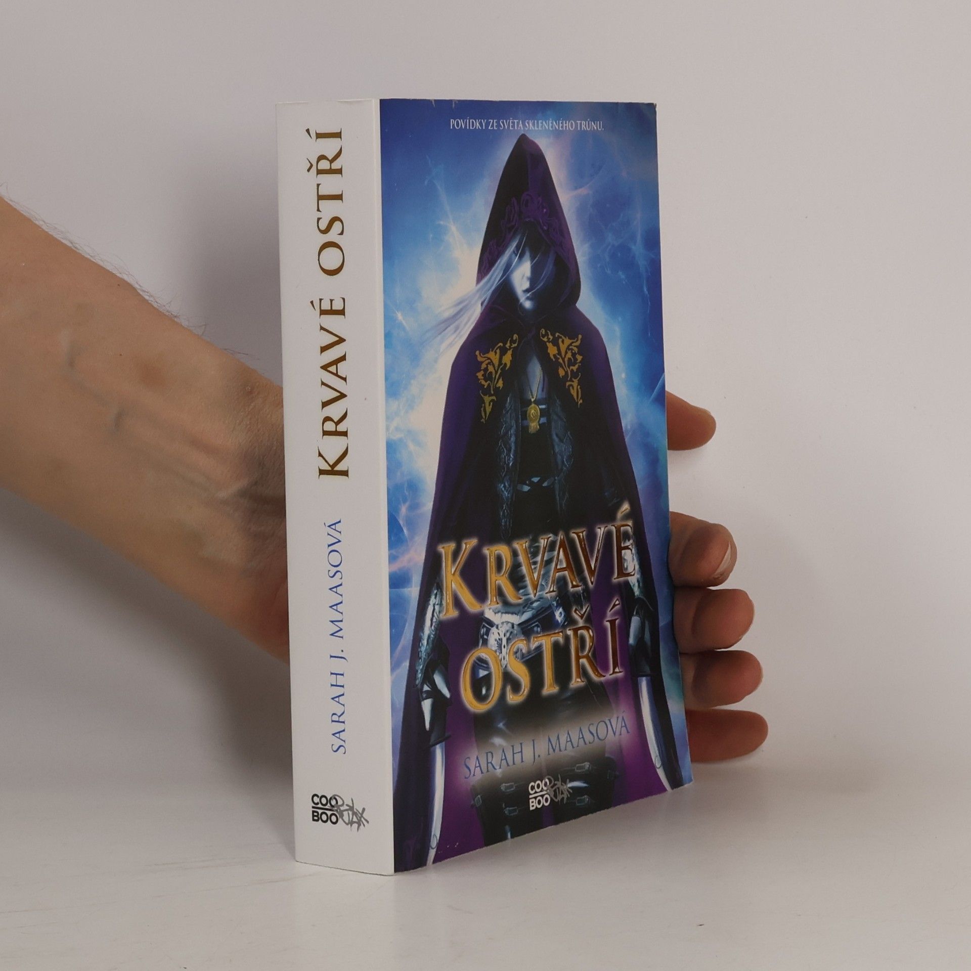 Sarah J. Maas Krvavé ostří