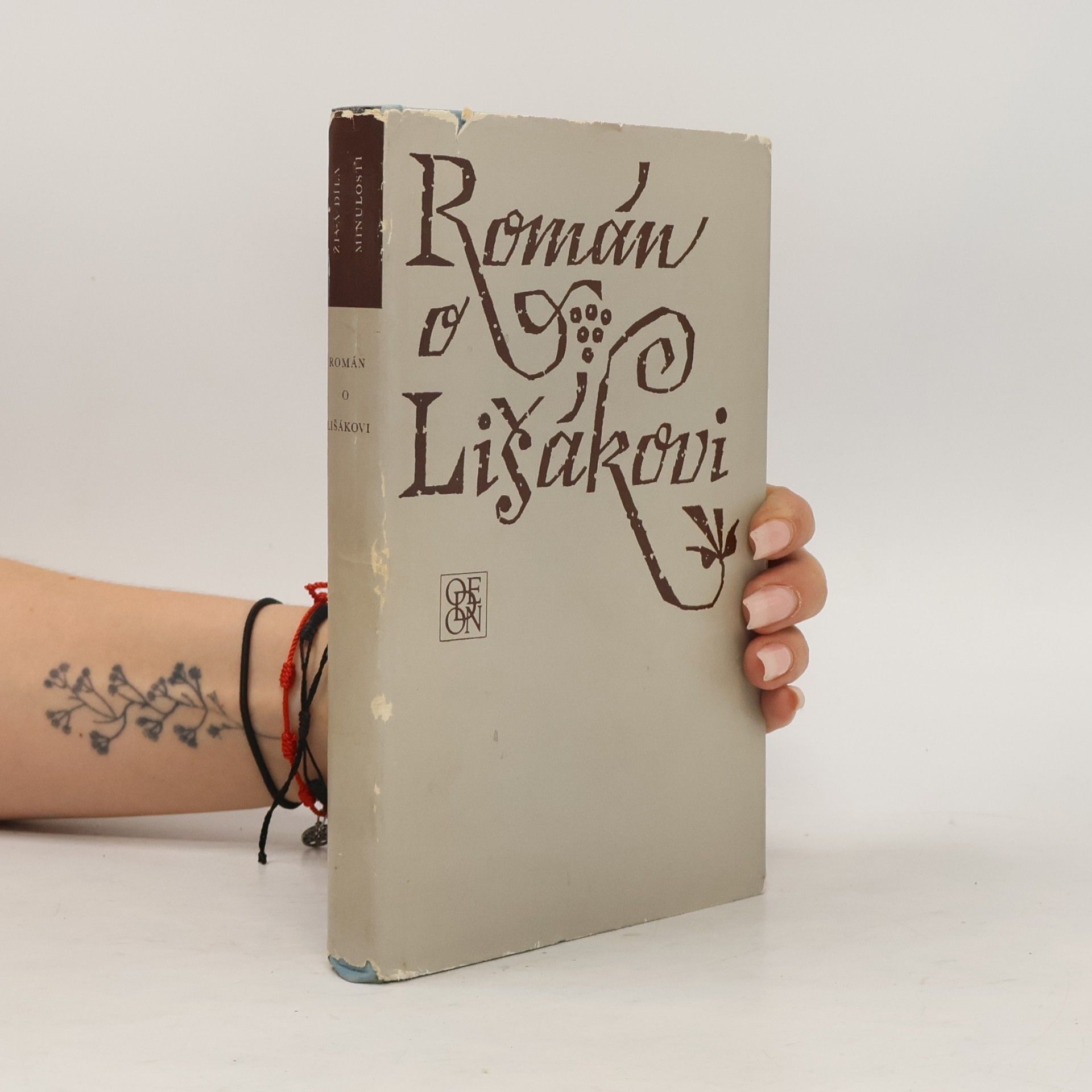 Autorenkollektiv Román o lišákovi