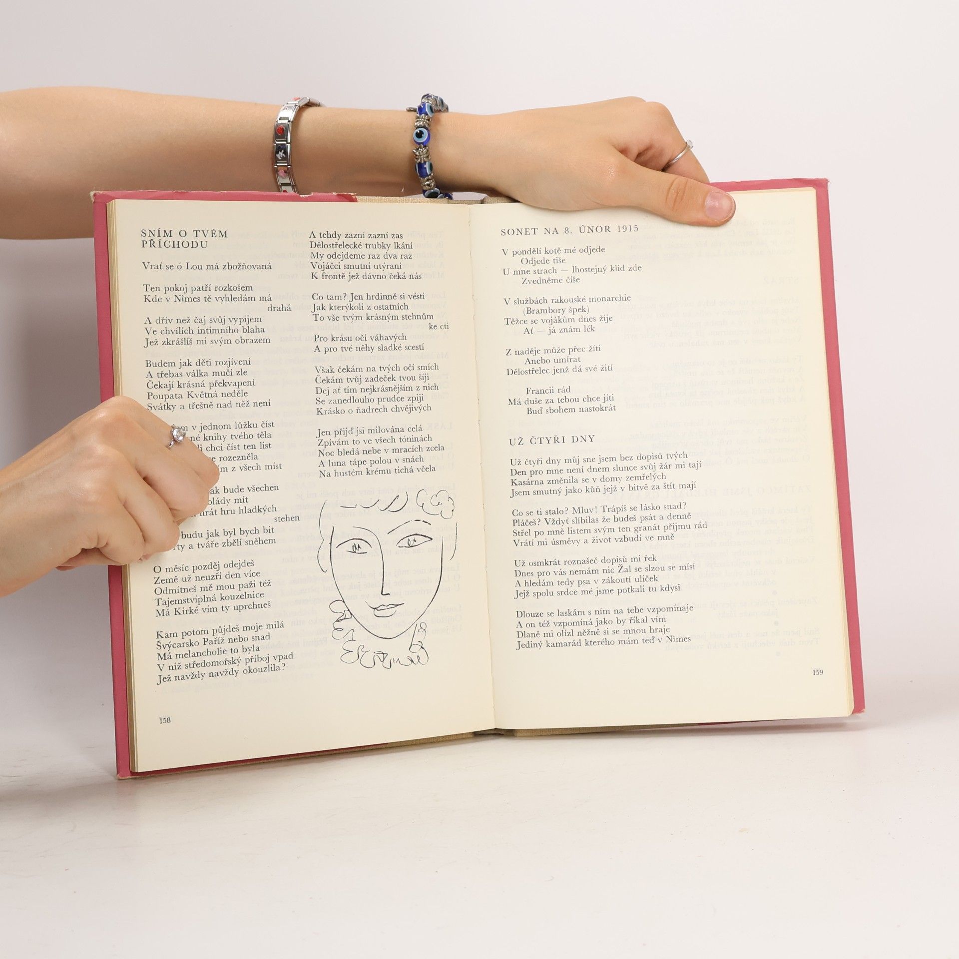 Autorenkollektiv Nepřerušená píseň. Deset století francouzské poezie