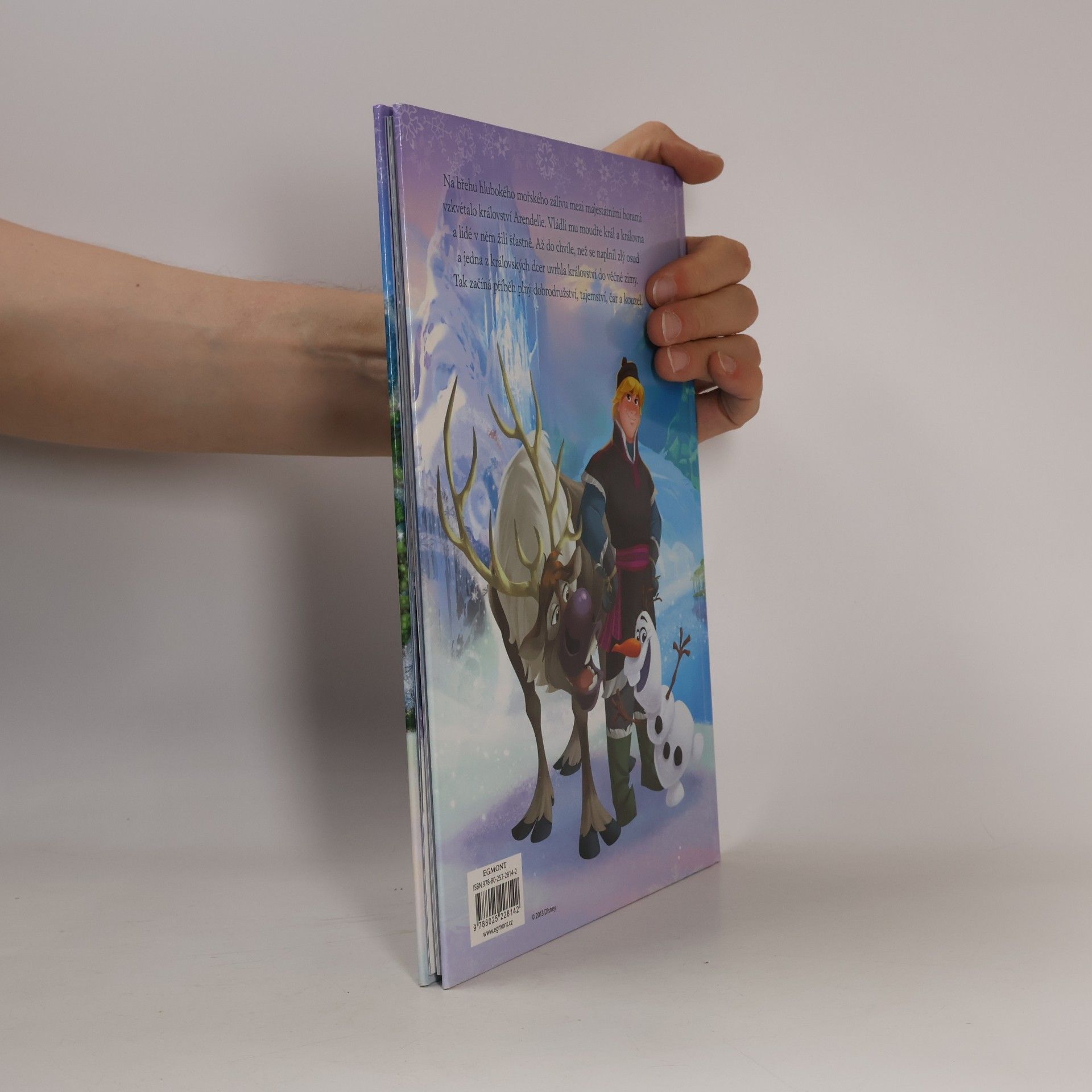 Autores varios Ledové království