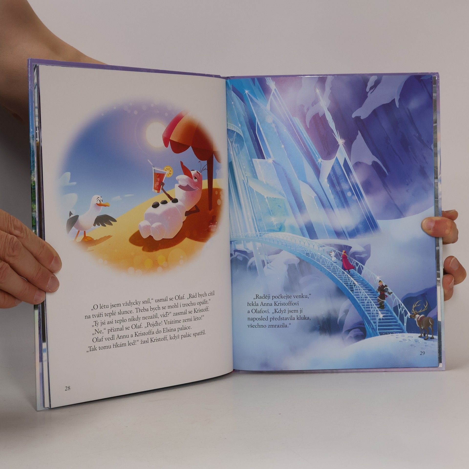 Autores varios Ledové království