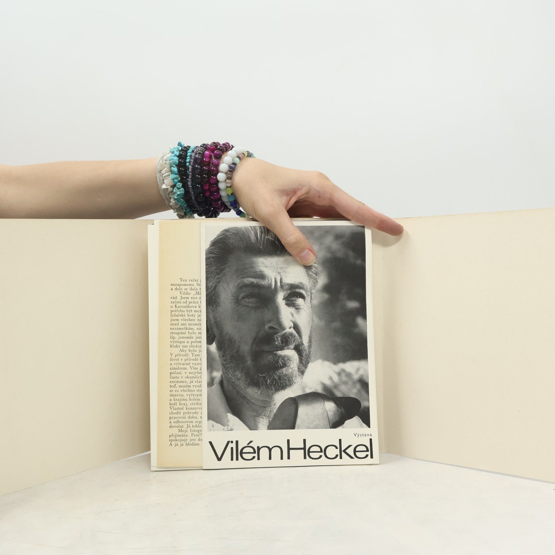 Vilém Heckel Poslední hora