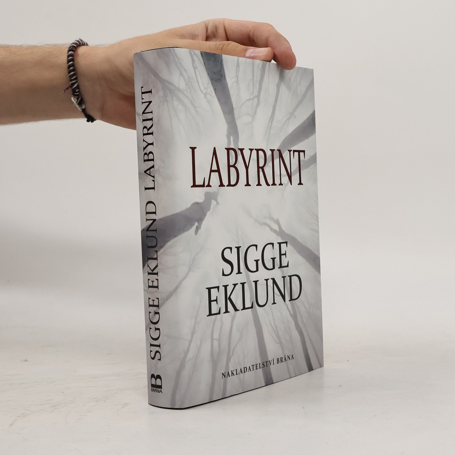 Sigge Eklund Labyrint
