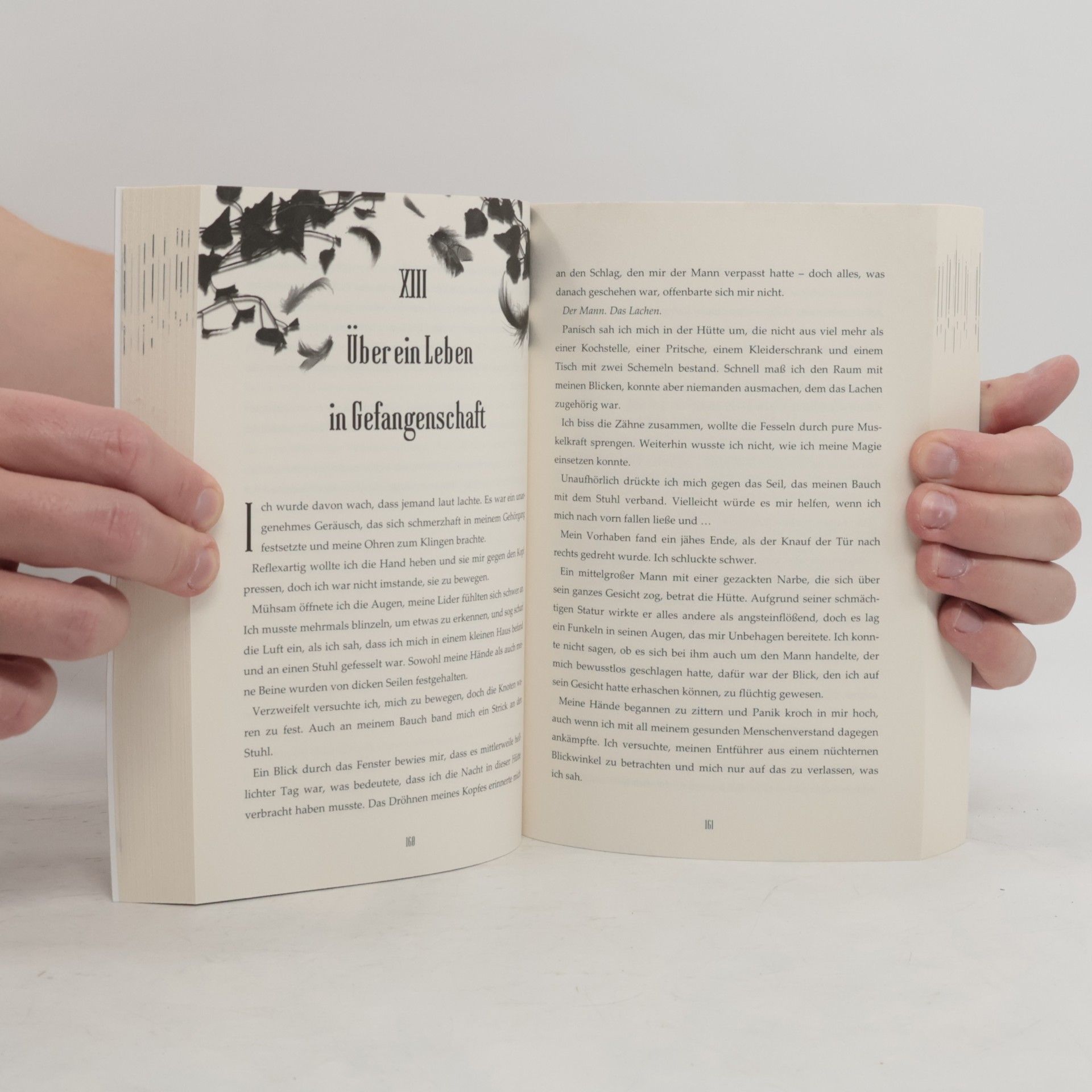 Jessica Bernett Gawain: Lichtfalke