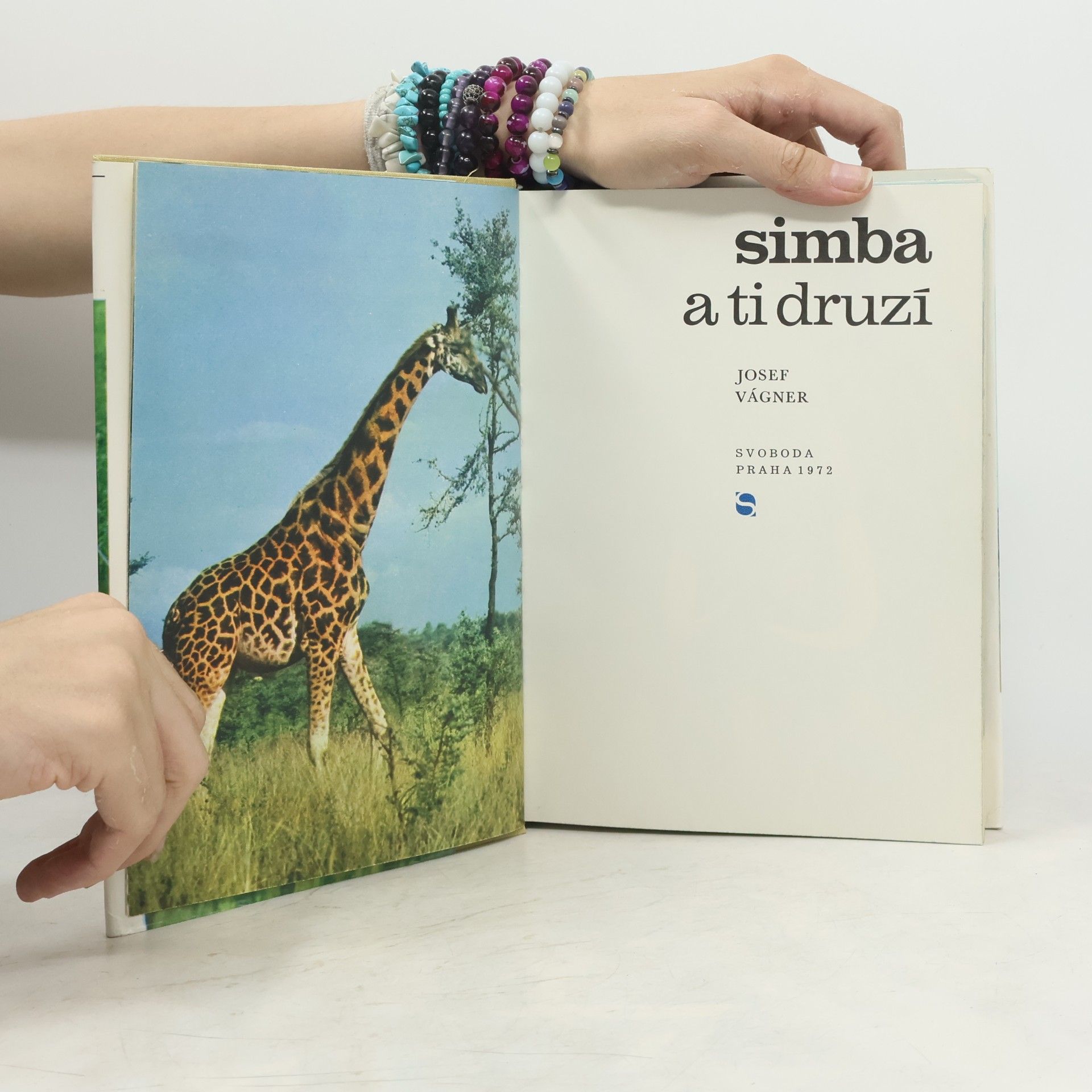 Josef Vágner Simba a ti druzí