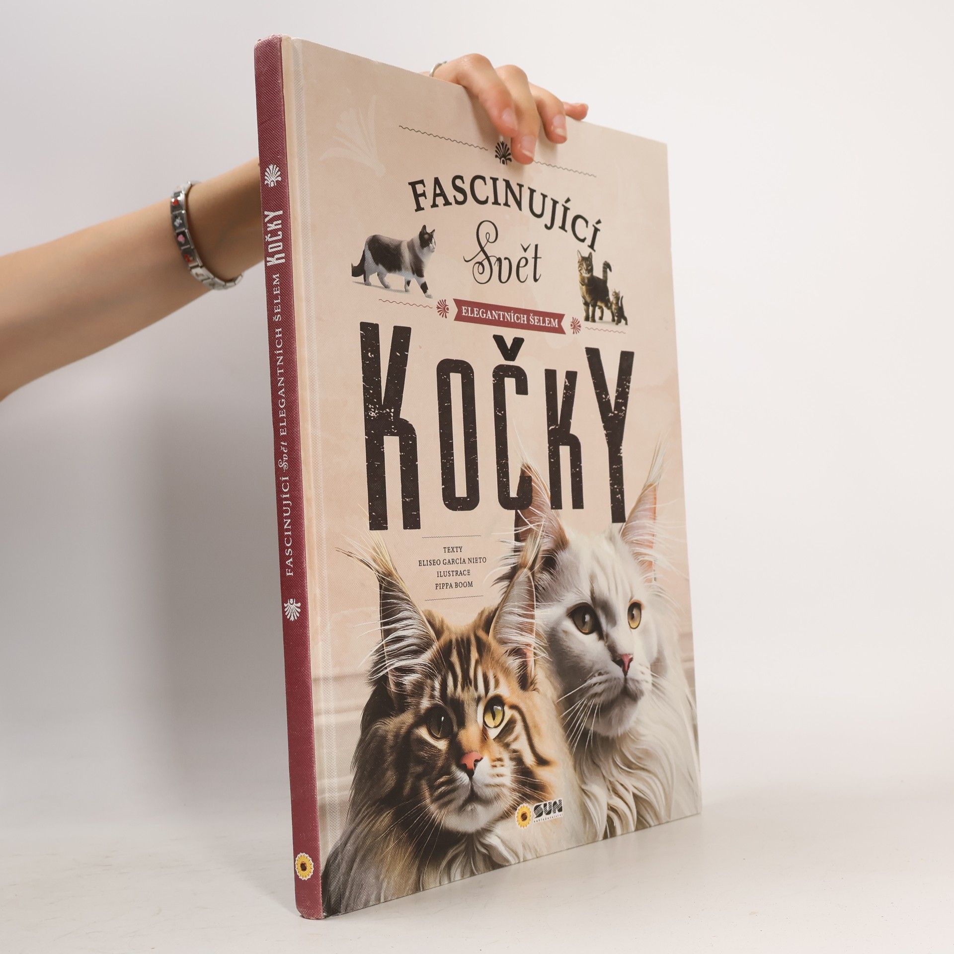 Eliseo García Nieto Fascinující svět elegantních šelem: Kočky