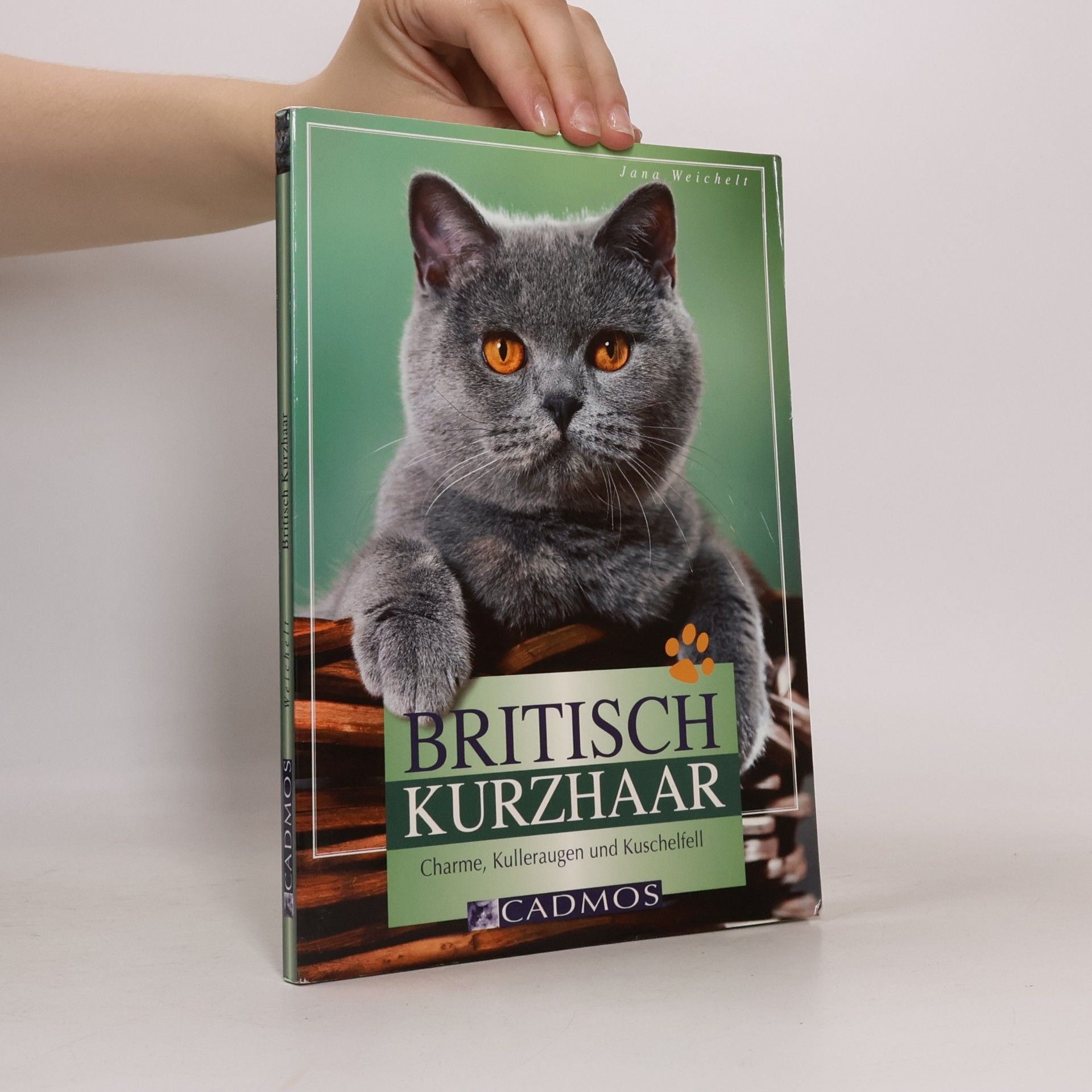 Britisch Kurzhaar