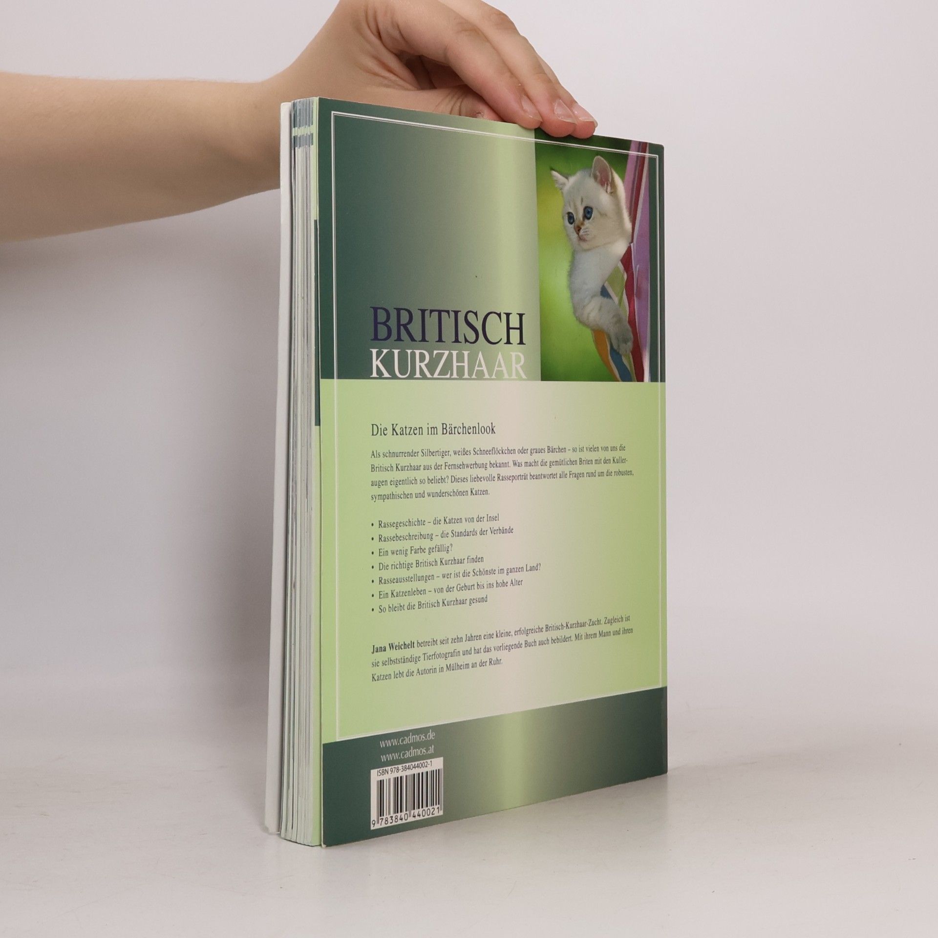 Jana Weichelt Britisch Kurzhaar