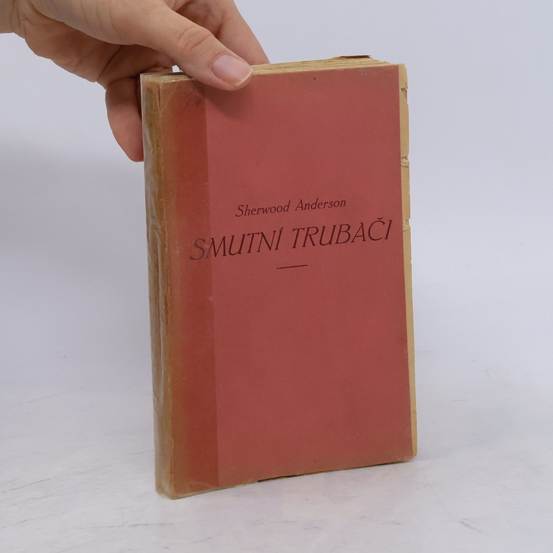 Sherwood Anderson Smutní trubači
