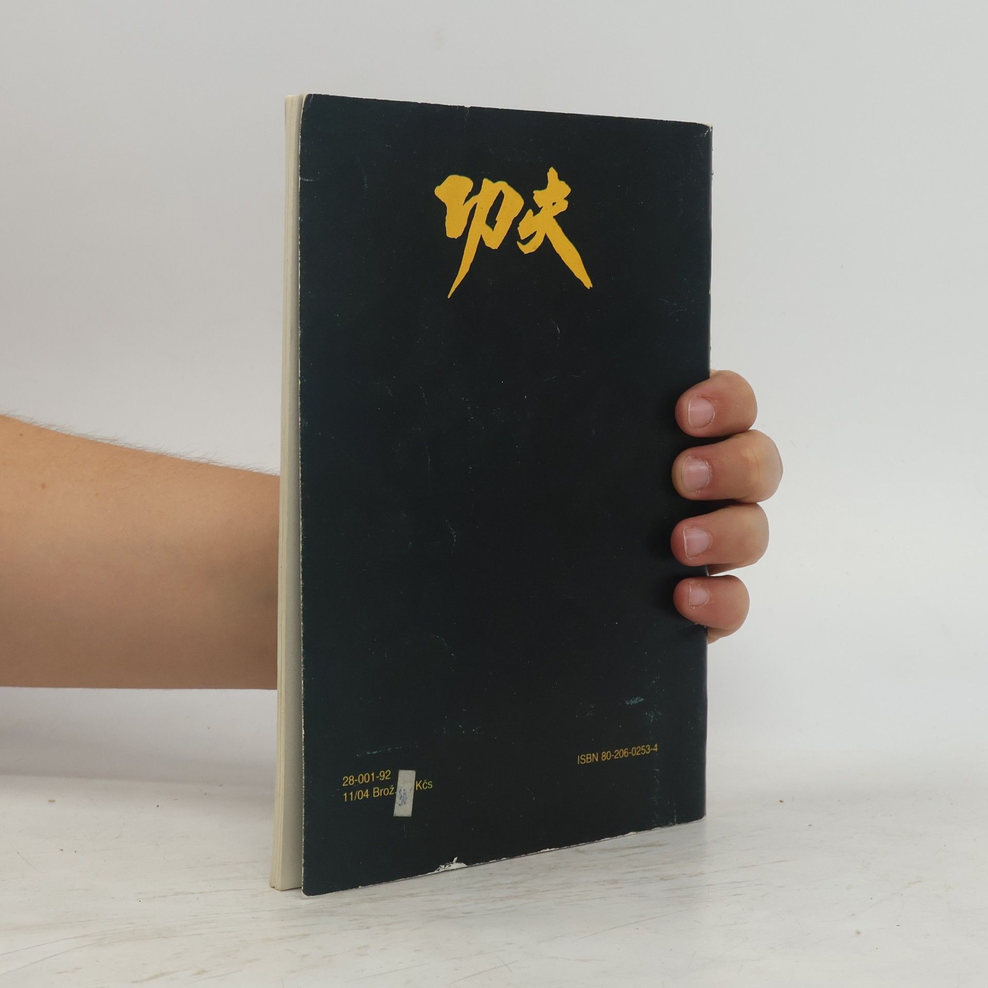 Roman Hladík Kung-Fu - sebeobrana jižního Shaolinu