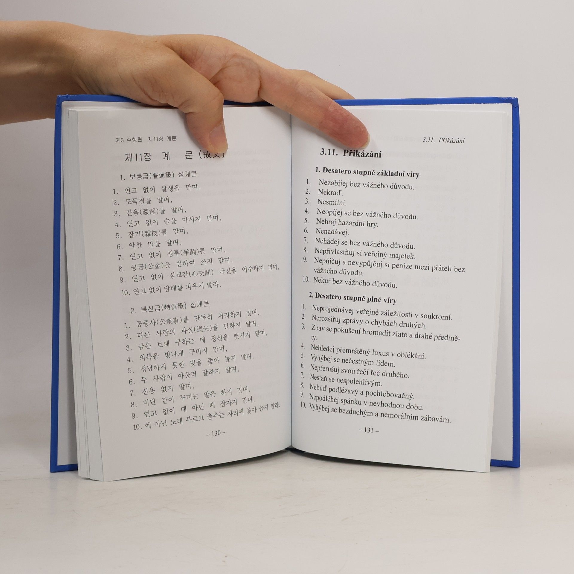 Autorenkollektiv Základní učení vonbulismu: korejsky-česky