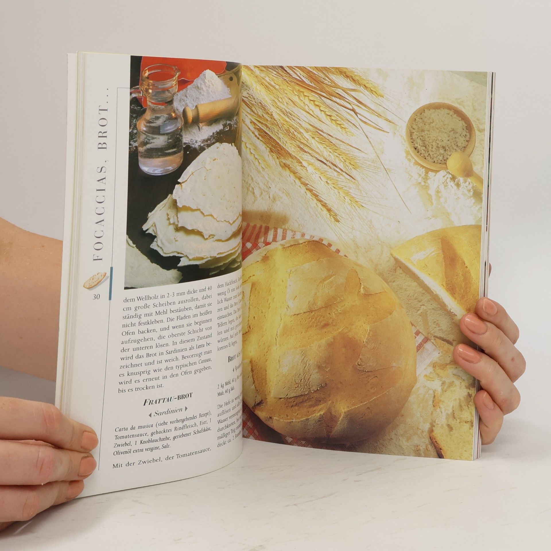 Kolektiv autorů Alle Rezepte die Küche der Italiener