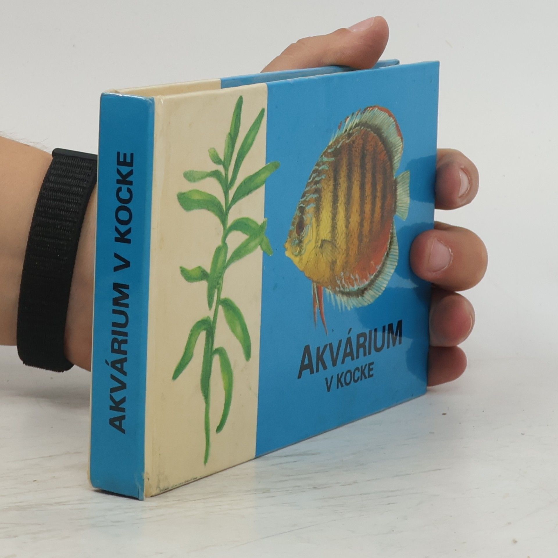 Ladislav Andódi Akvárium v kocke