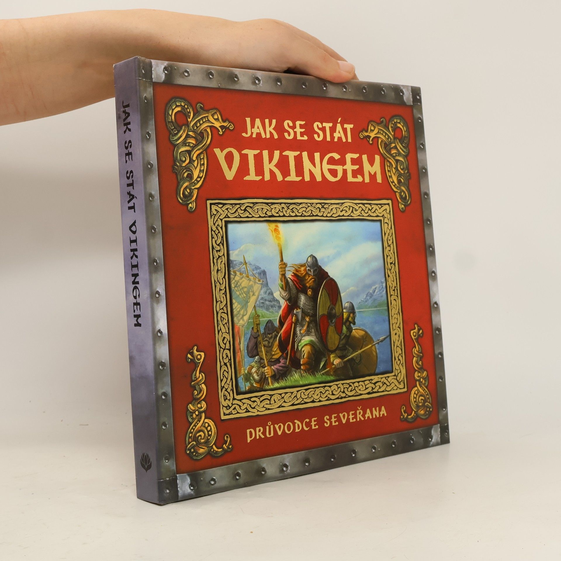 Ari Berk Jak se stát vikingem - Průvodce seveřana