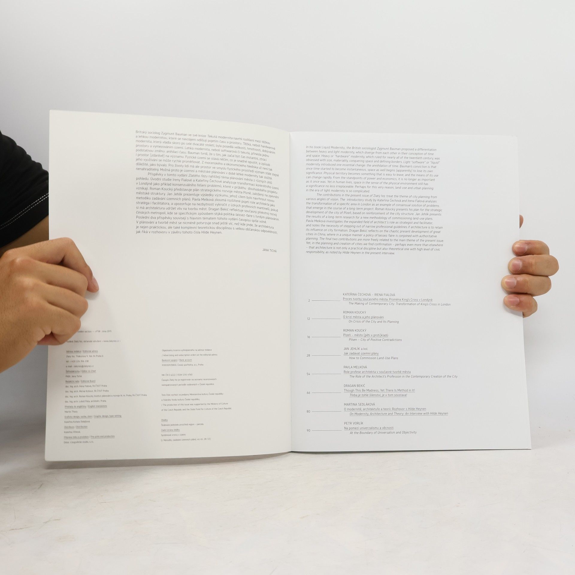 Collectif d'auteurs Plánování města: Planning a city
