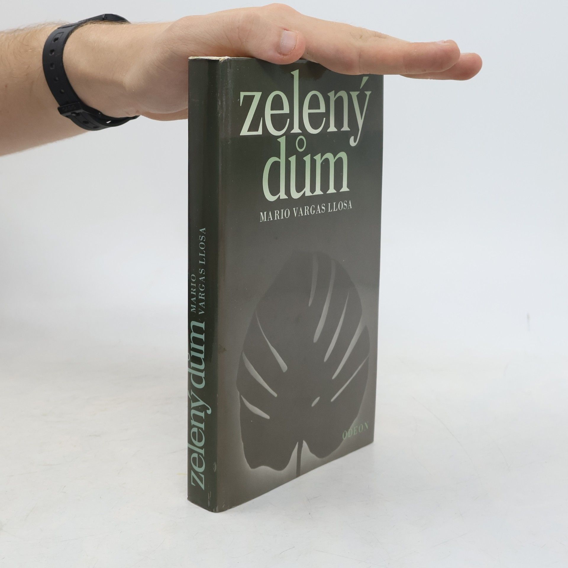 Mario Vargas Llosa Zelený dům
