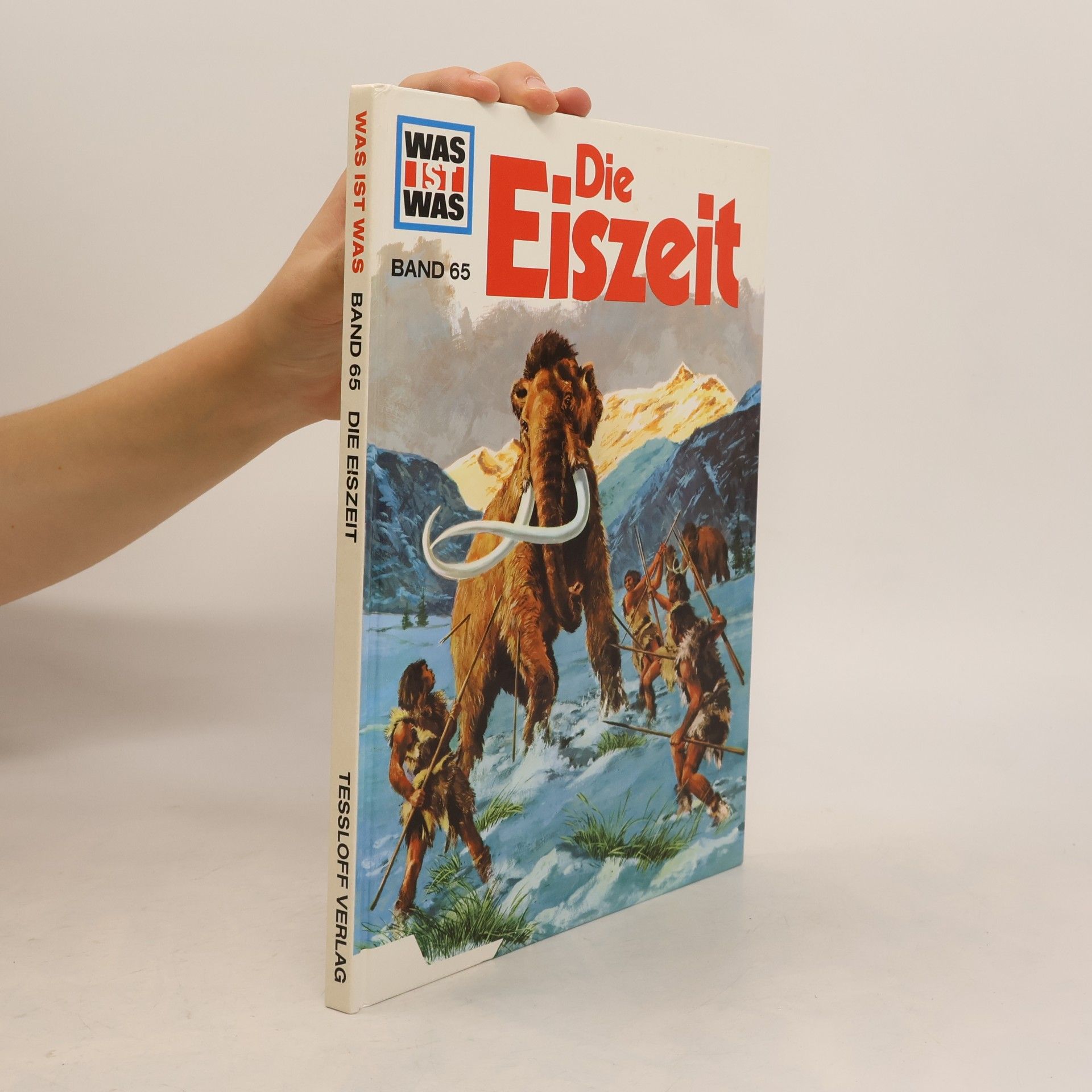 Die Eiszeit