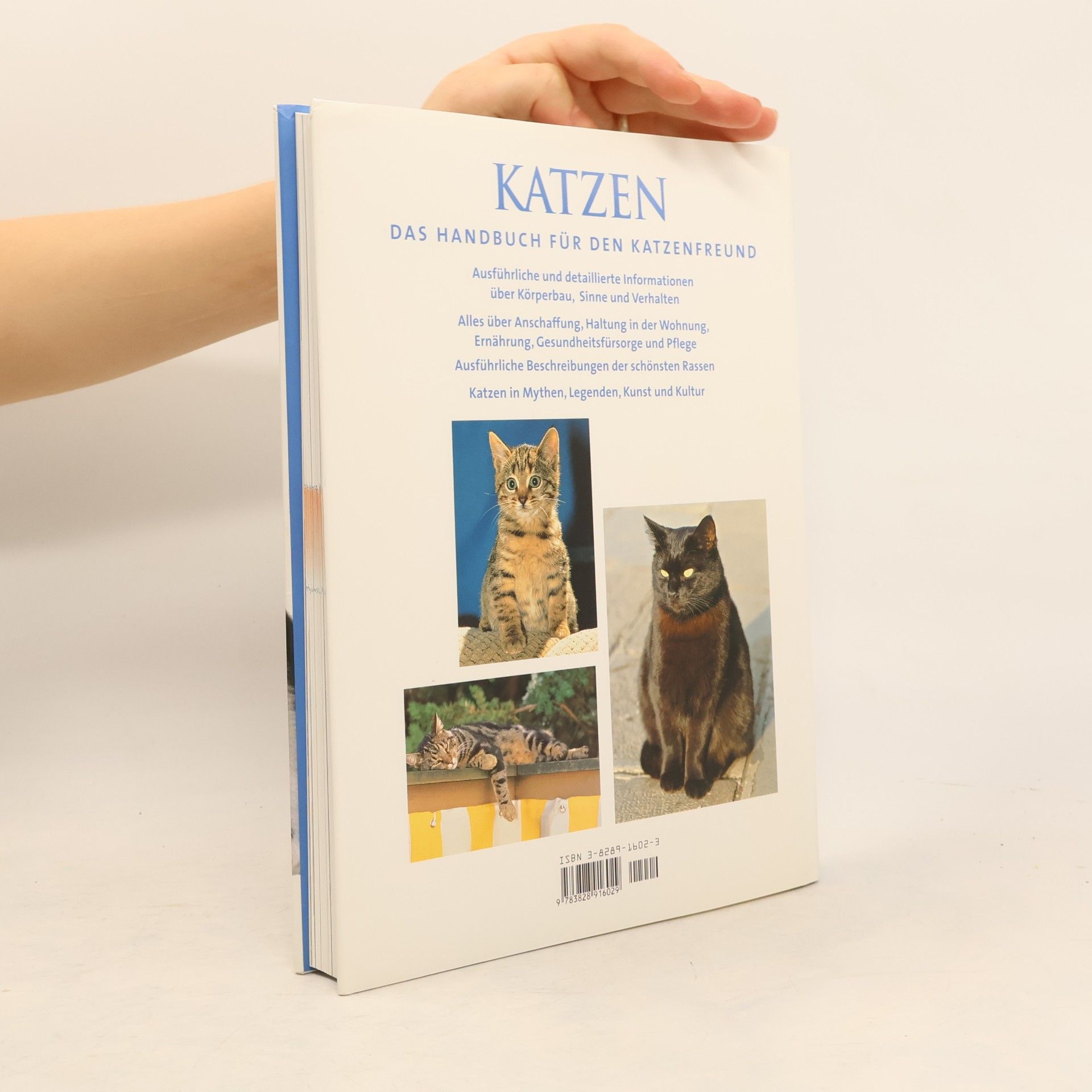 Claire Bessant Katzen