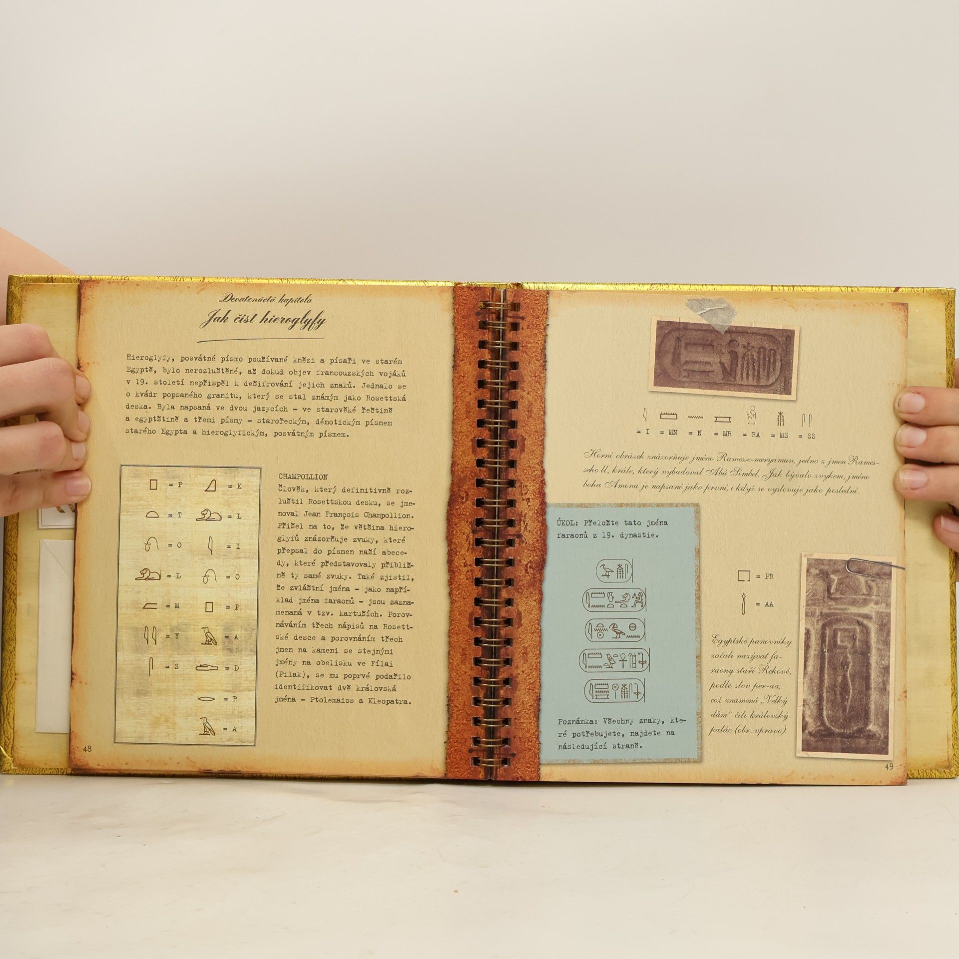 Dugald A. Steer Divy Egypta