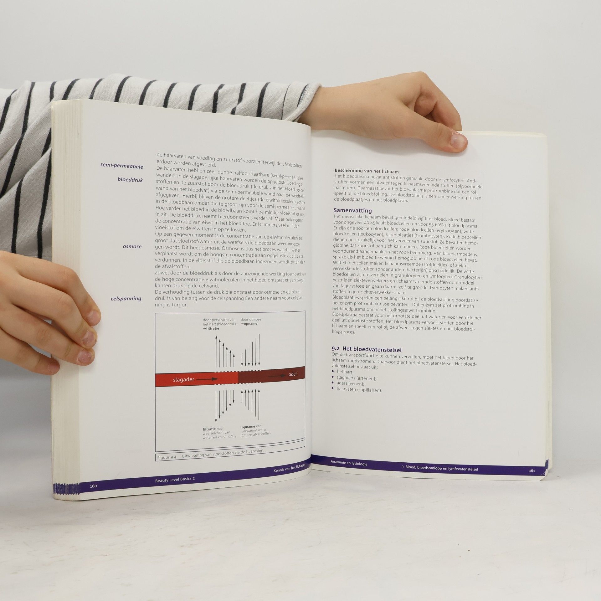 Autorenkollektiv Beauty Level Basics 2