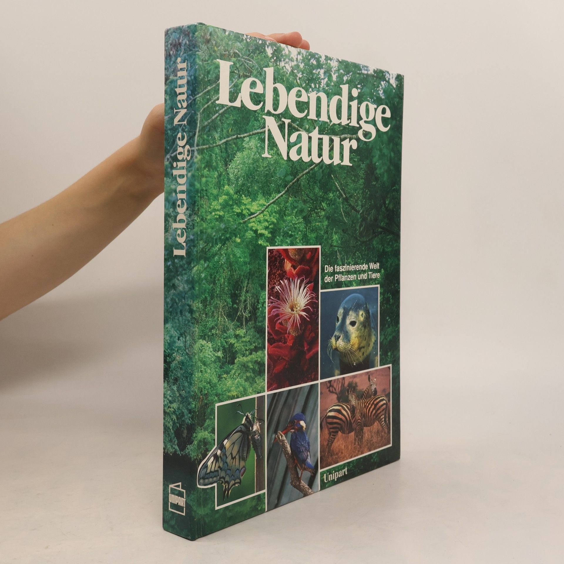 Teresa Farino Lebendige Natur